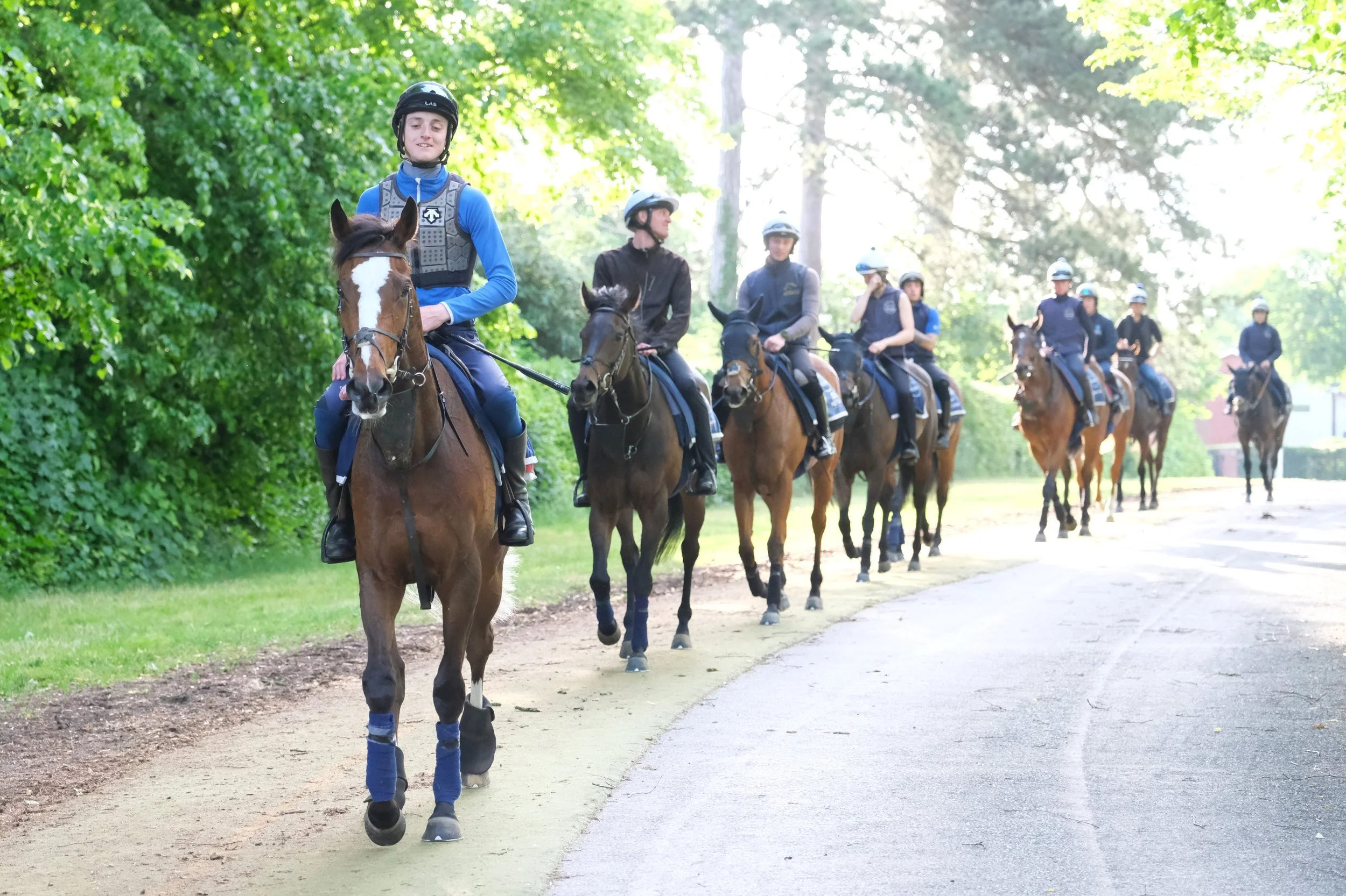 jack-jones-racing-racehorses-returning-along-summer-training-track-137.jpg