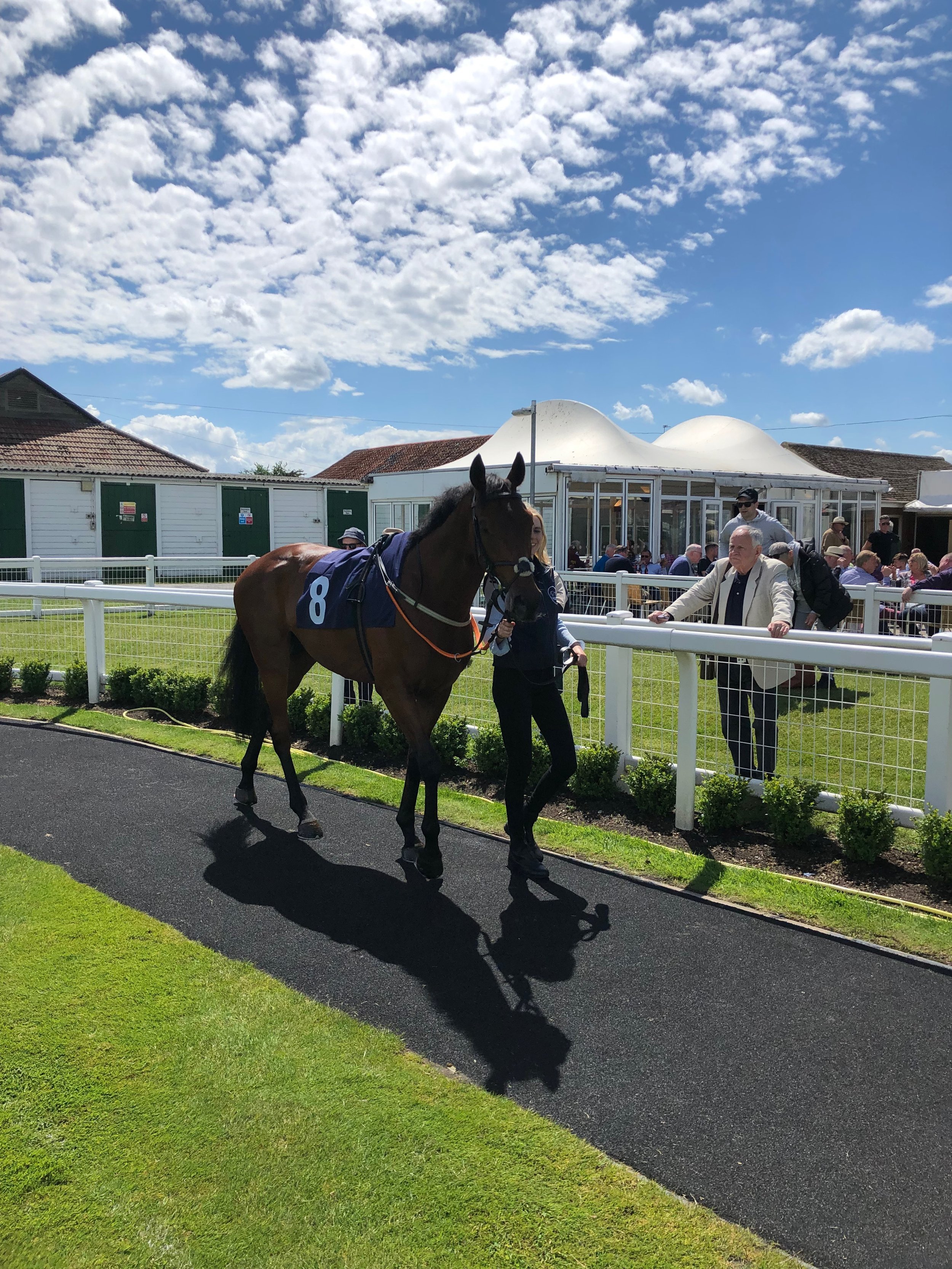 jack-jones-racing-racehorse-and-handler-outside-yard-101.jpeg