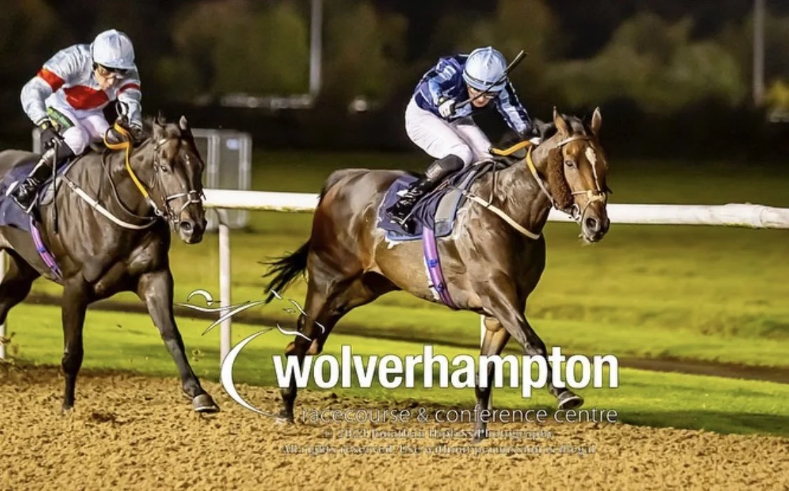 jack-jones-racing-wolverhampton-racehorses-competing-under-floodlights-006.jpeg