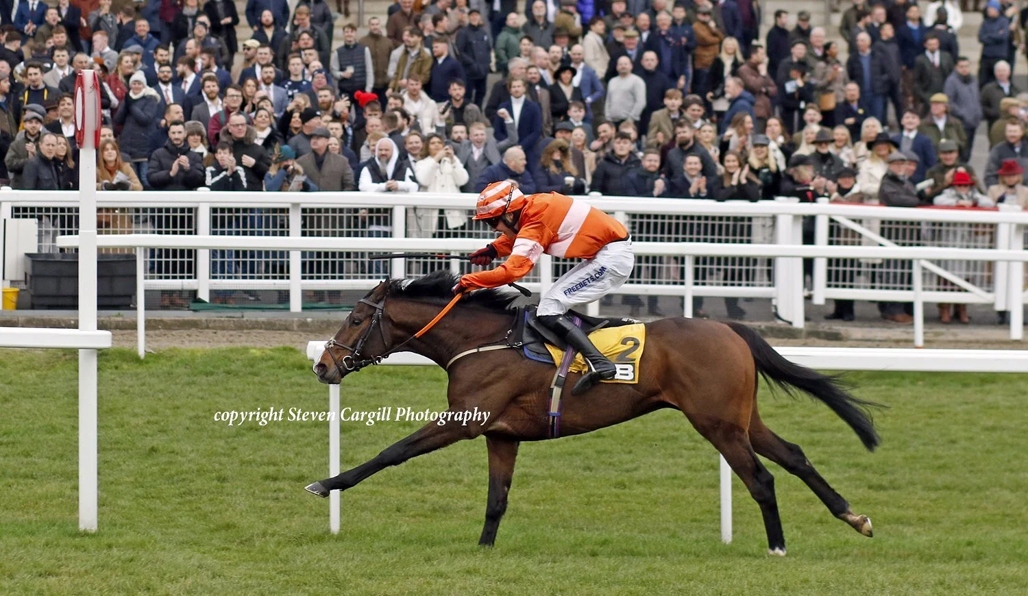 jack-jones-racing-racehorse-and-jockey-galloping-past-spectators-118.jpeg