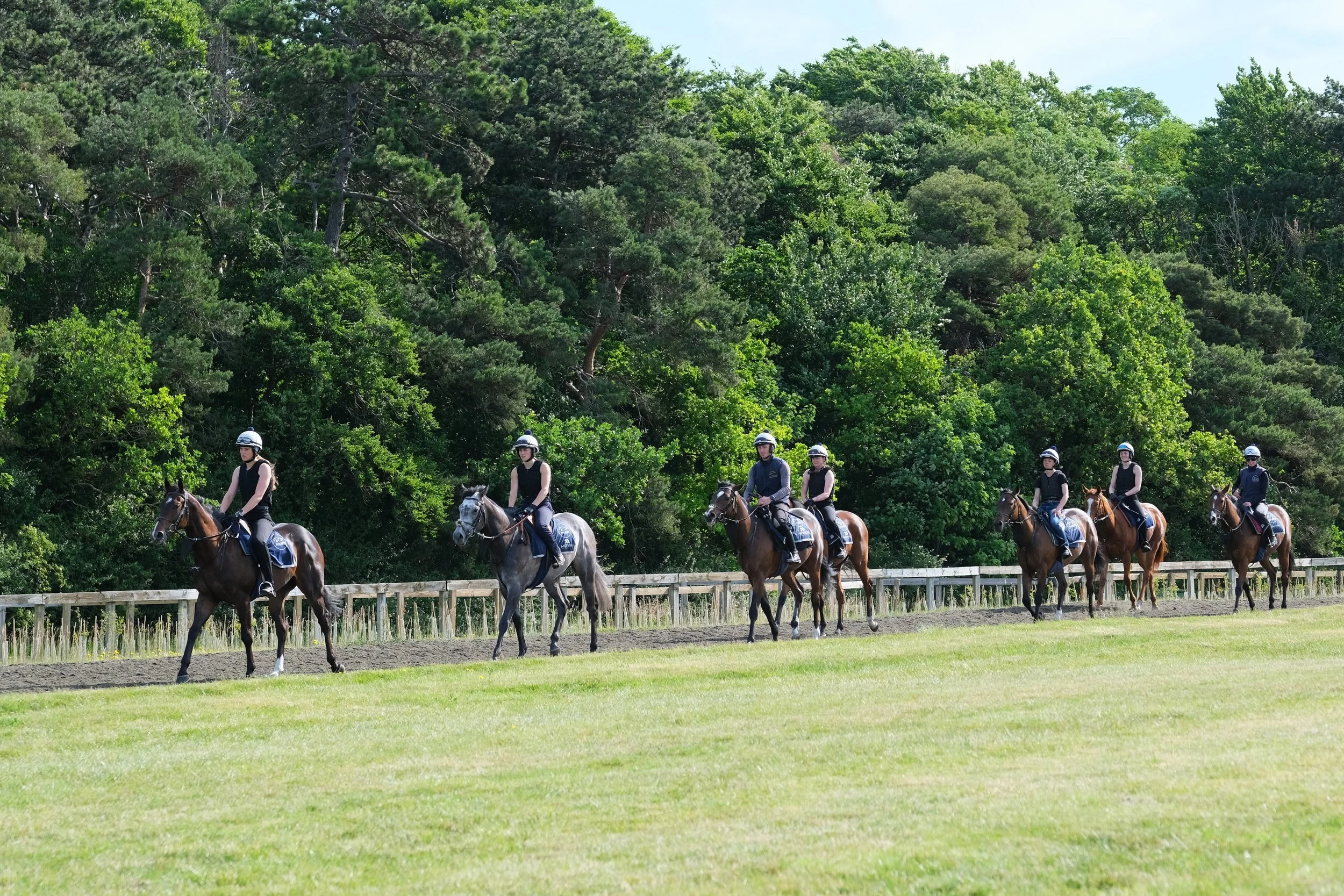 jack-jones-racing-racehorse-string-following-training-rail-138.jpg