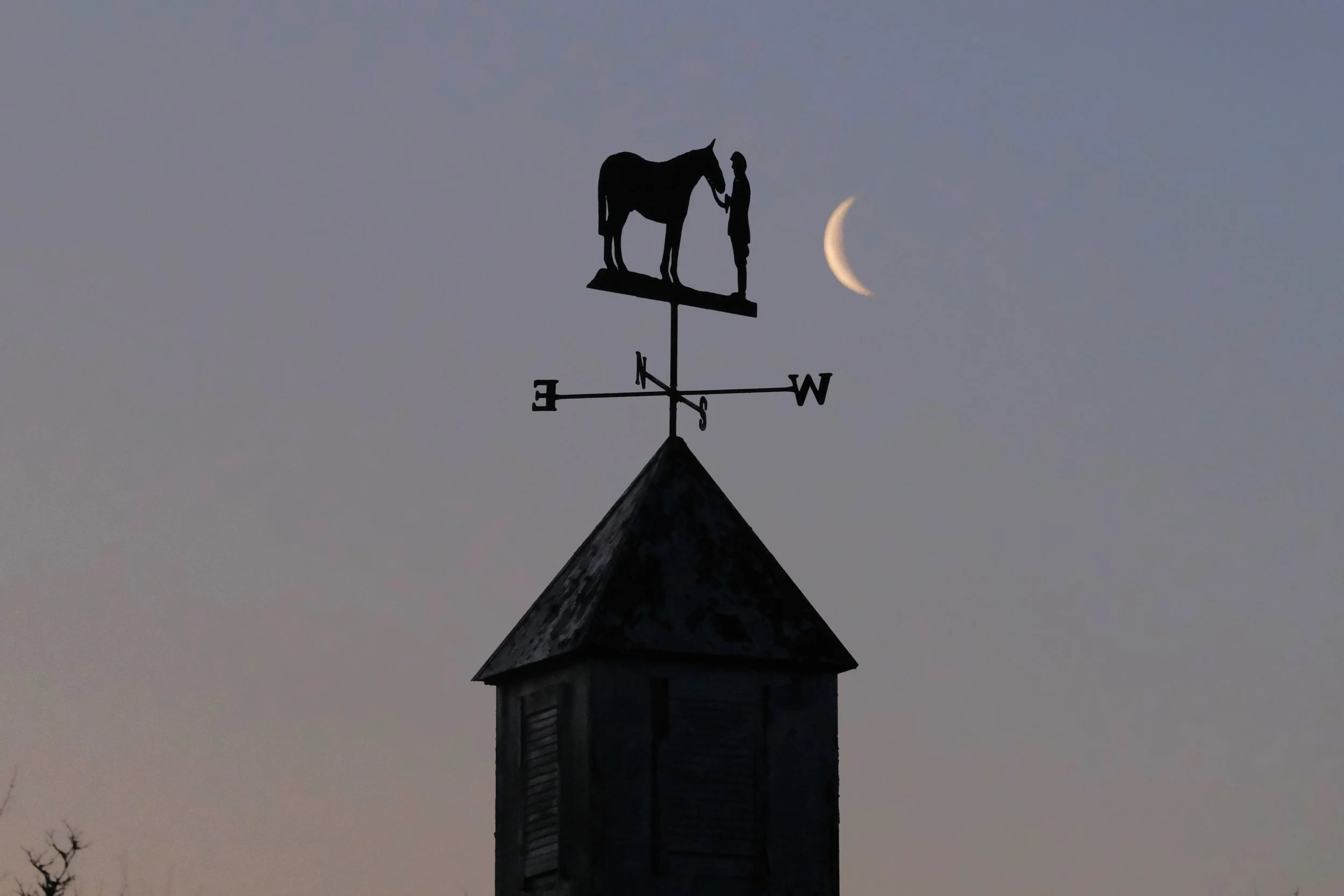 jack-jones-racing-horse-weather-vane-and-crescent-moon-126.jpg