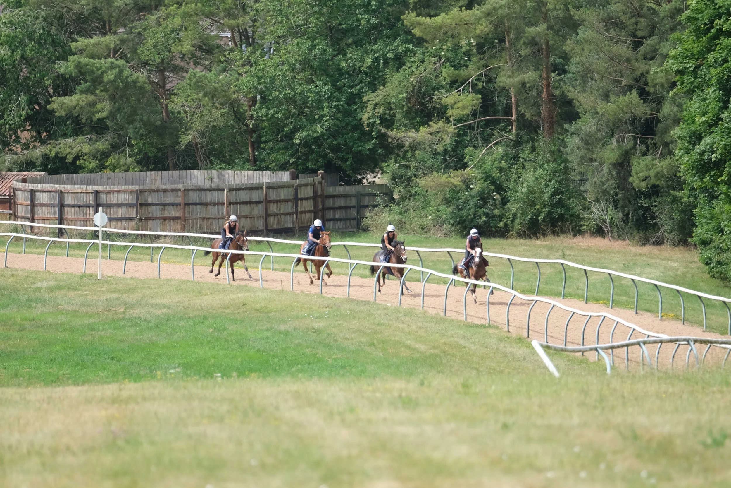 jack-jones-racing-racehorses-cantering-along-woodland-gallop-140.jpg