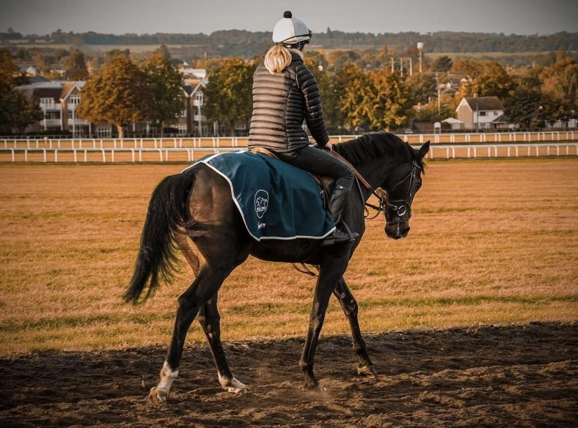 jack-jones-racing-racehorse-walking-in-outdoor-arena-074.jpg