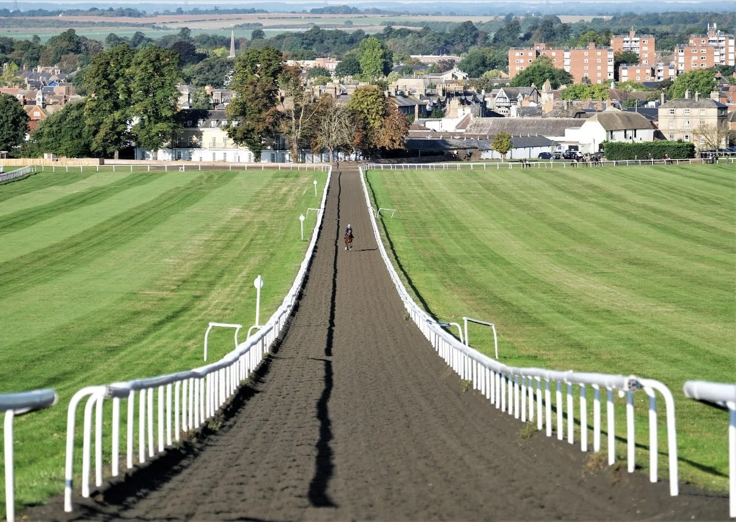 jack-jones-racing-racehorses-on-hill-gallop-overlooking-newmarket-097.jpeg