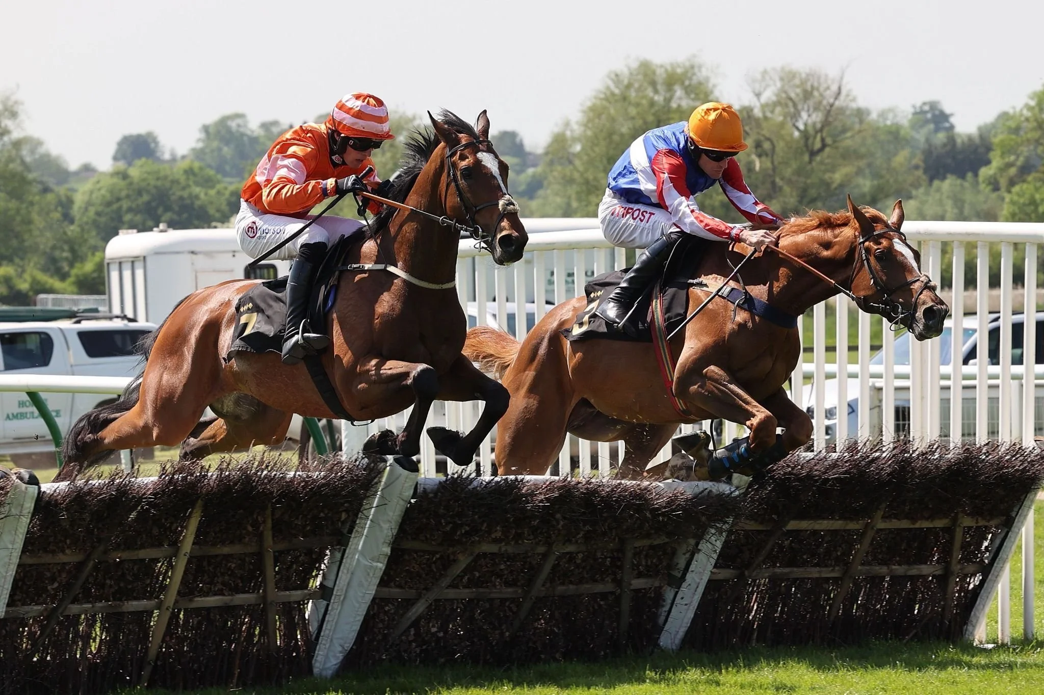 jack-jones-racing-racehorses-jumping-hurdle-in-race-062.jpg
