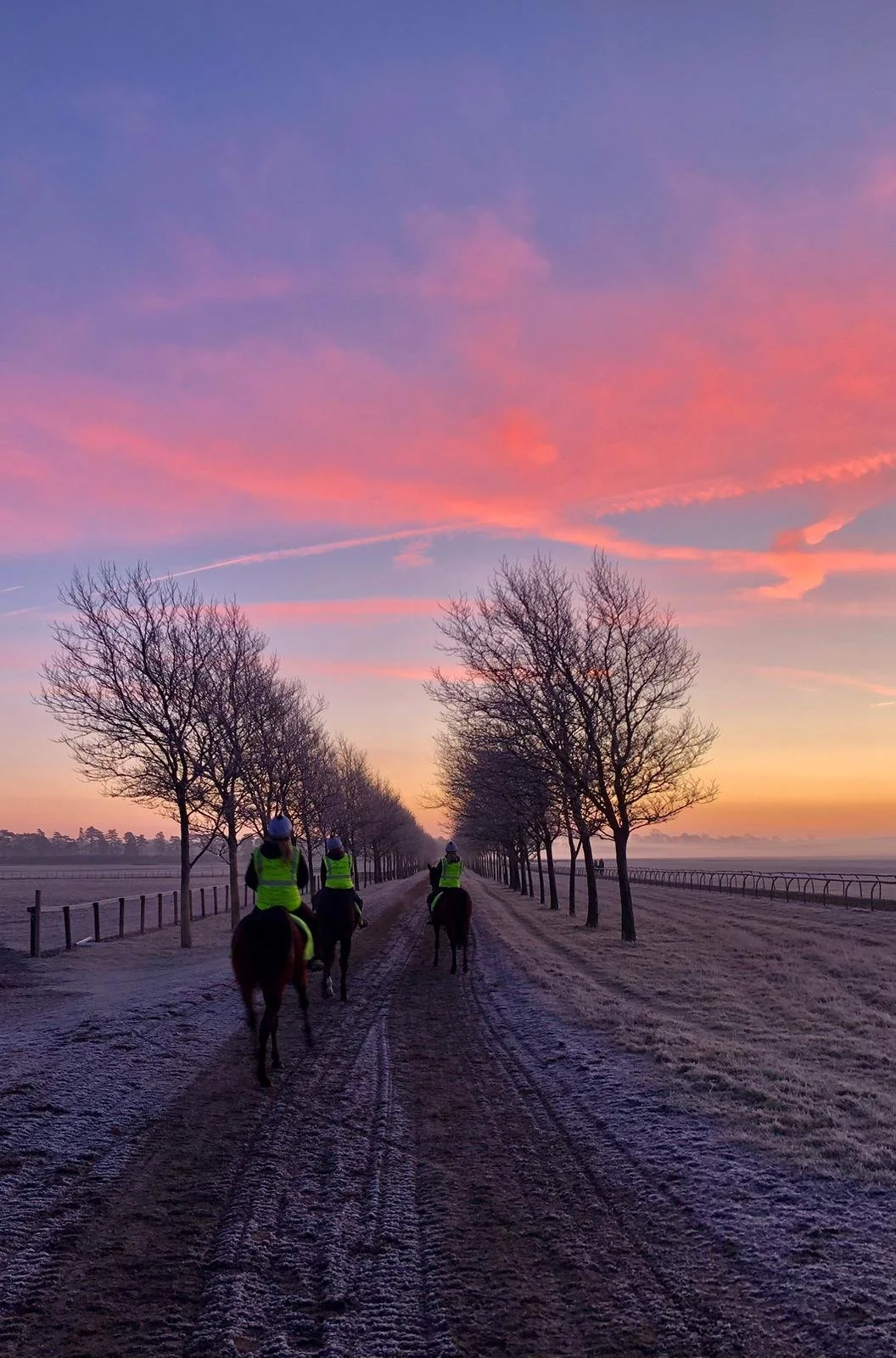 jack-jones-racing-racehorses-on-winter-training-path-at-sunrise-083.jpg