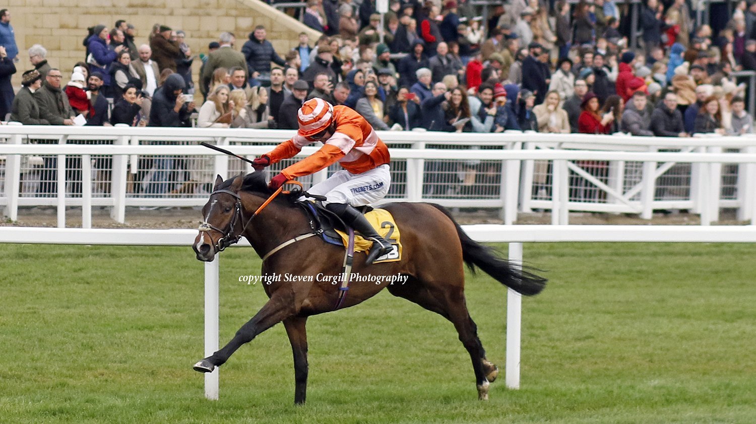 jack-jones-racing-racehorse-galloping-past-racecourse-crowd-033.jpeg