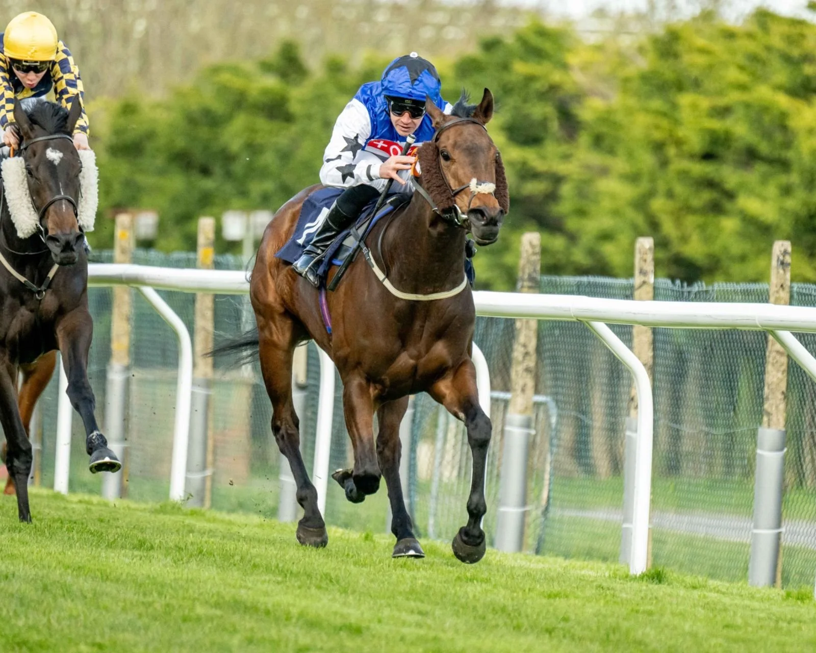 jack-jones-racing-racehorse-and-jockey-on-turf-024.jpeg