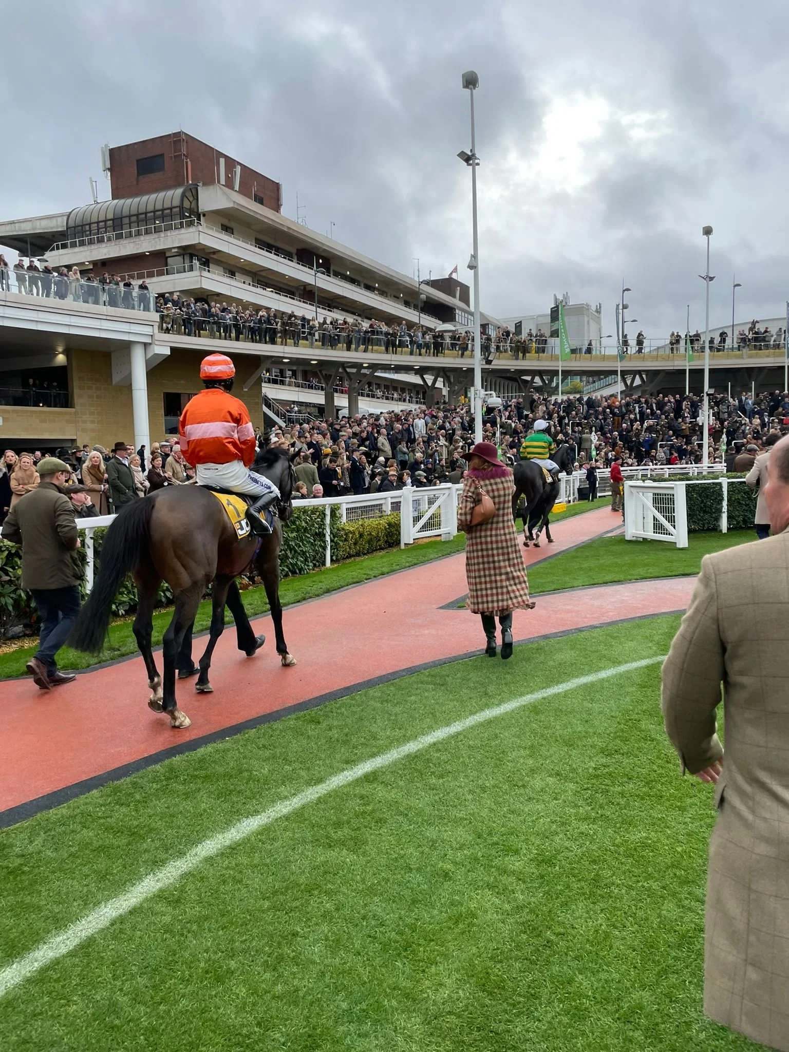 jack-jones-racing-racehorse-walking-past-racecourse-grandstand-043.jpg