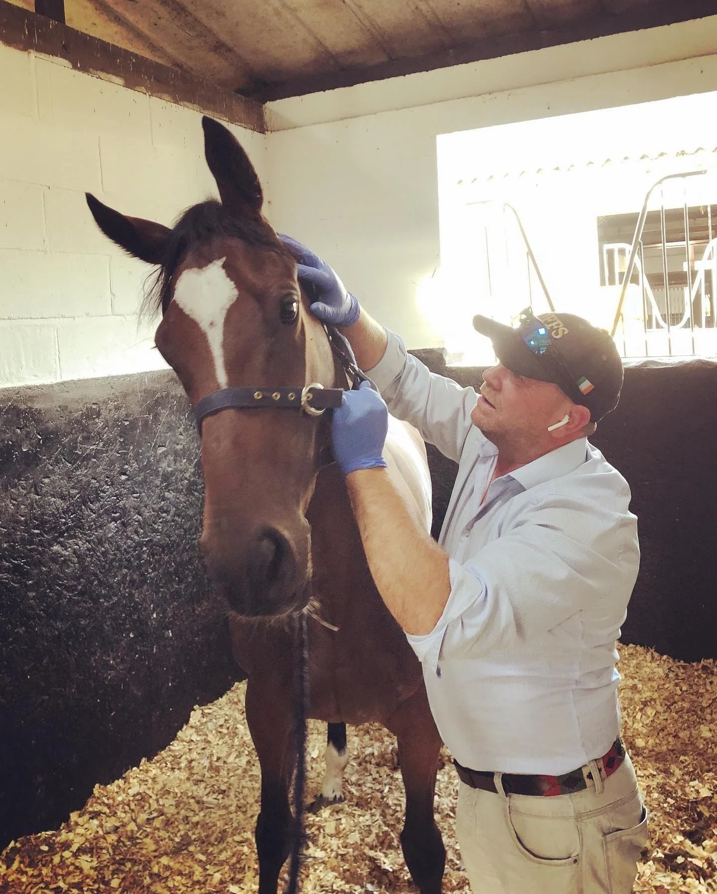 jack-jones-racing-racehorse-receiving-care-inside-stable-115.jpeg