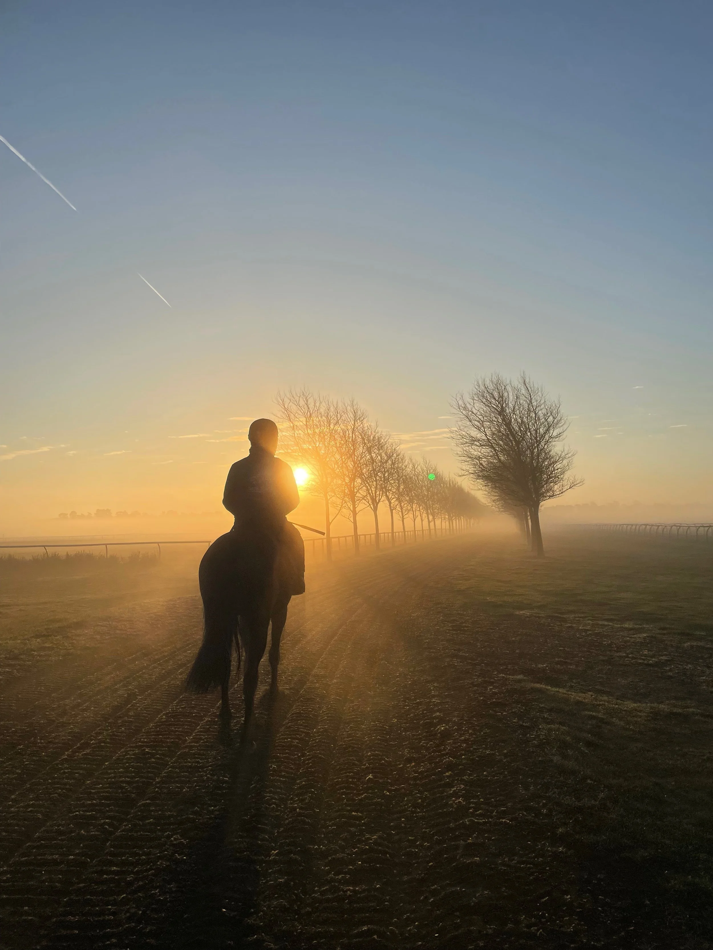 jack-jones-racing-racehorse-and-rider-in-sunrise-mist-080.jpeg