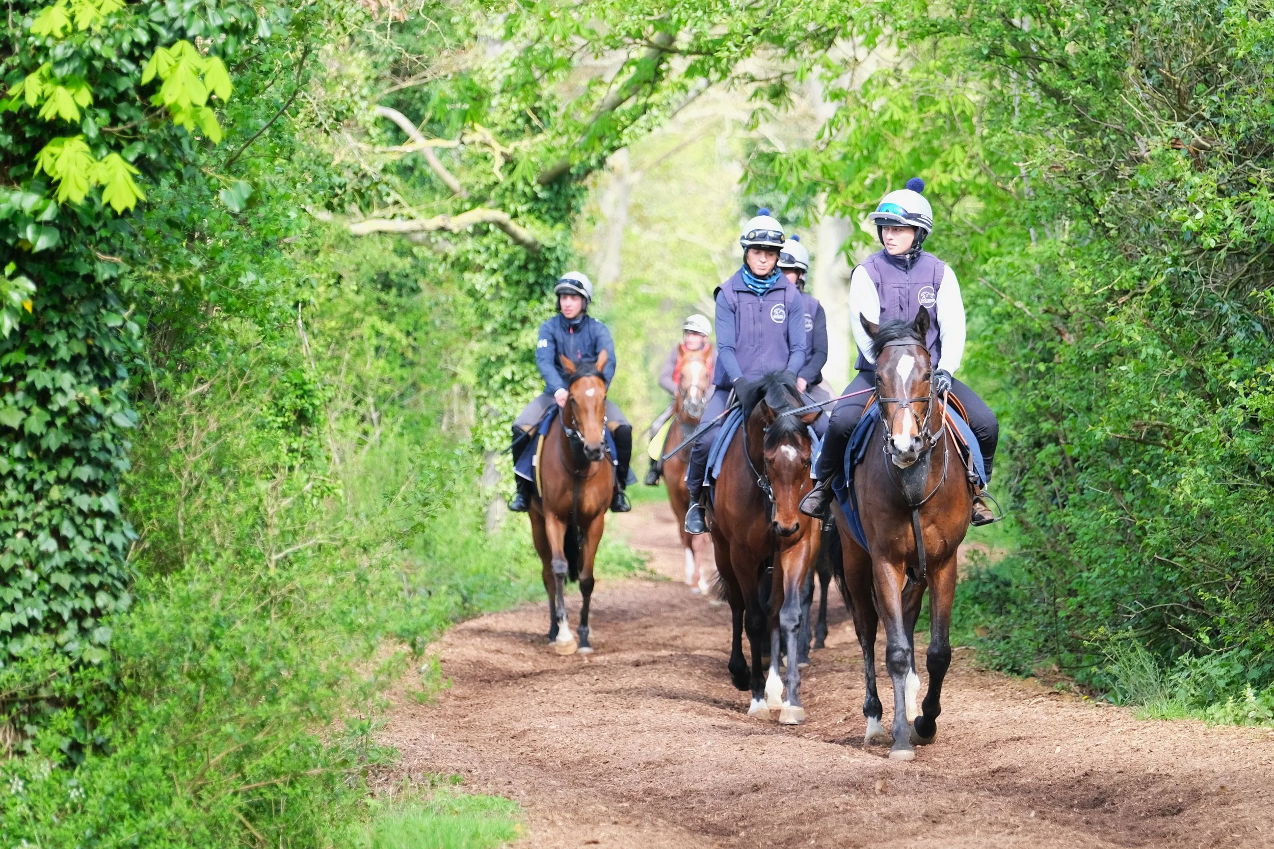 jack-jones-racing-racehorses-returning-along-leafy-training-path-130.png