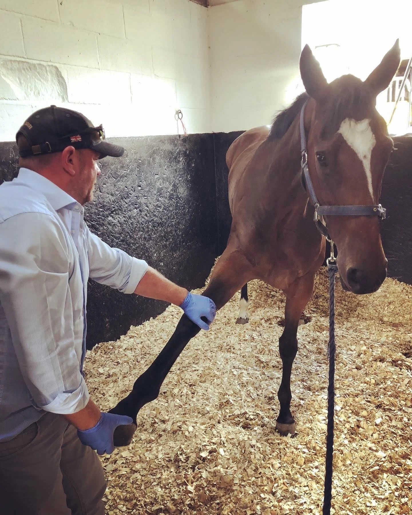 jack-jones-racing-racehorse-receiving-care-in-stable-yard-114.jpeg
