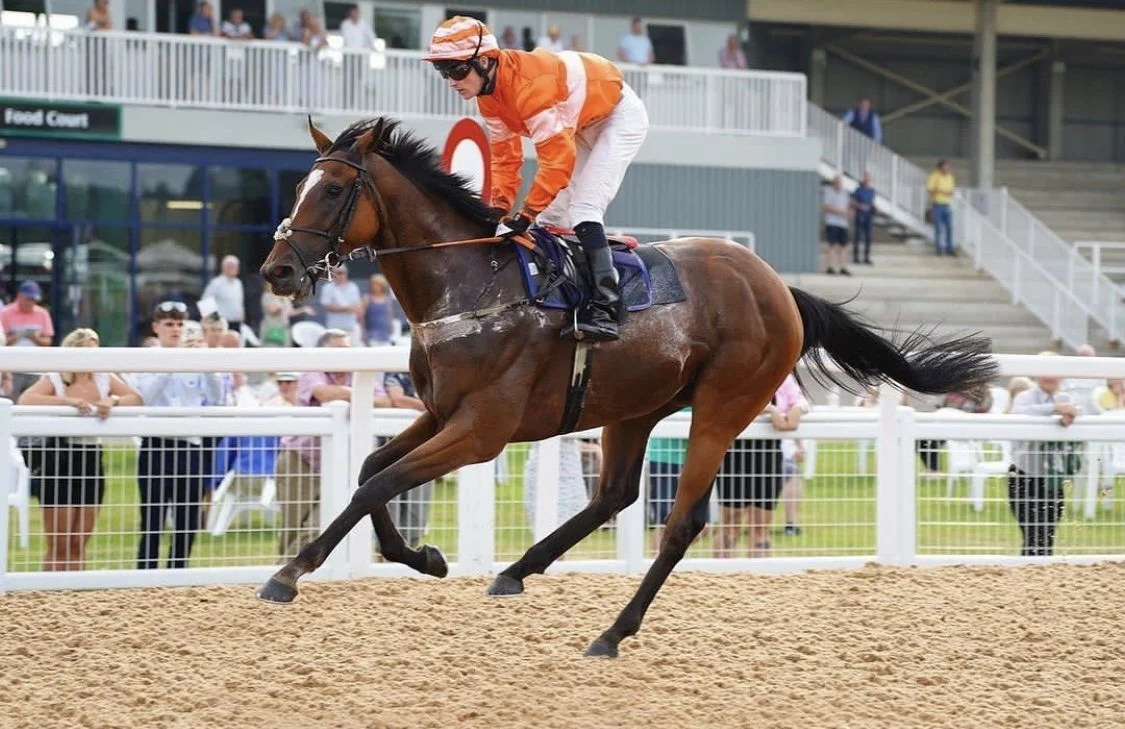 jack-jones-racing-racehorse-and-jockey-cantering-at-racecourse-046.jpg