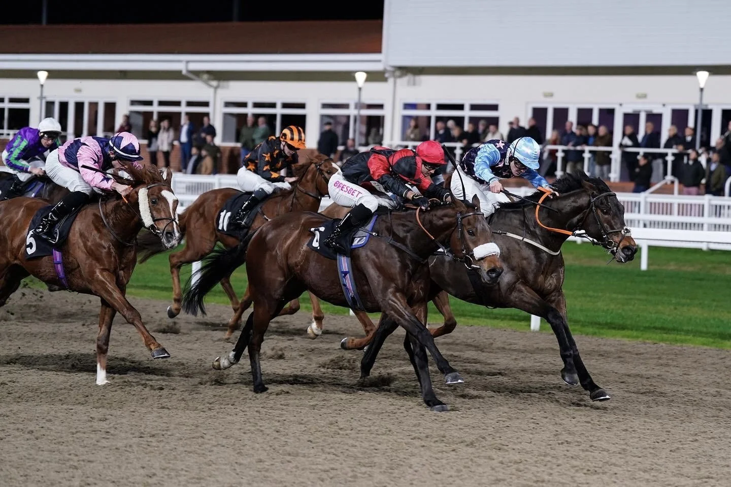 jack-jones-racing-racehorses-sprinting-past-grandstand-085.jpg
