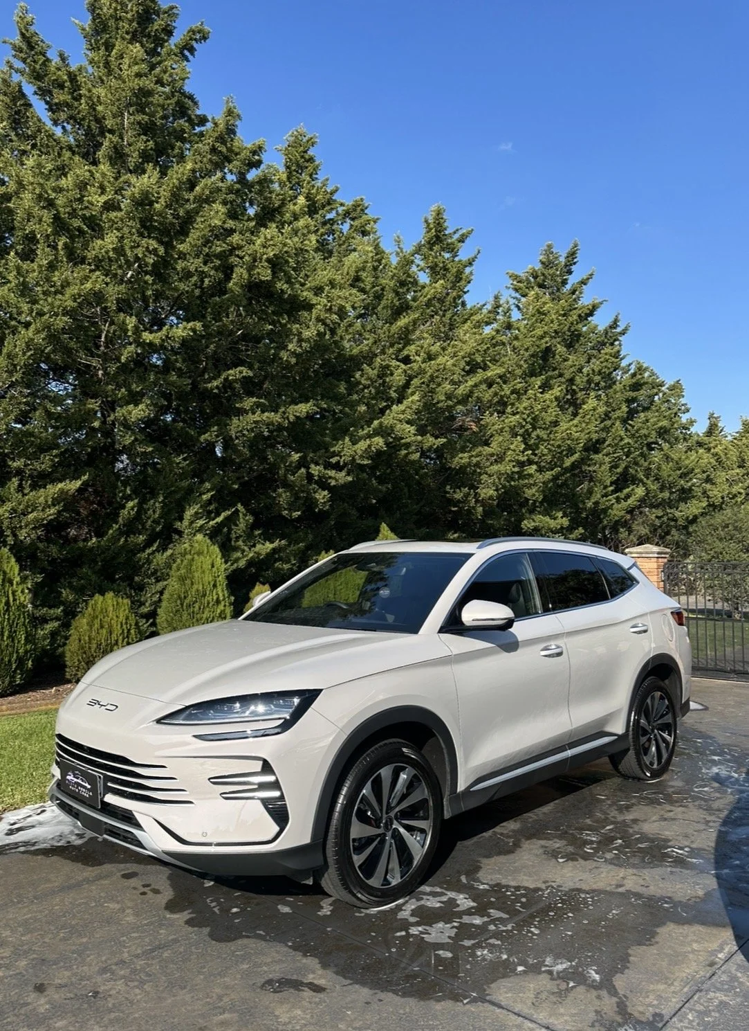 BYD sealion mobile full detailing