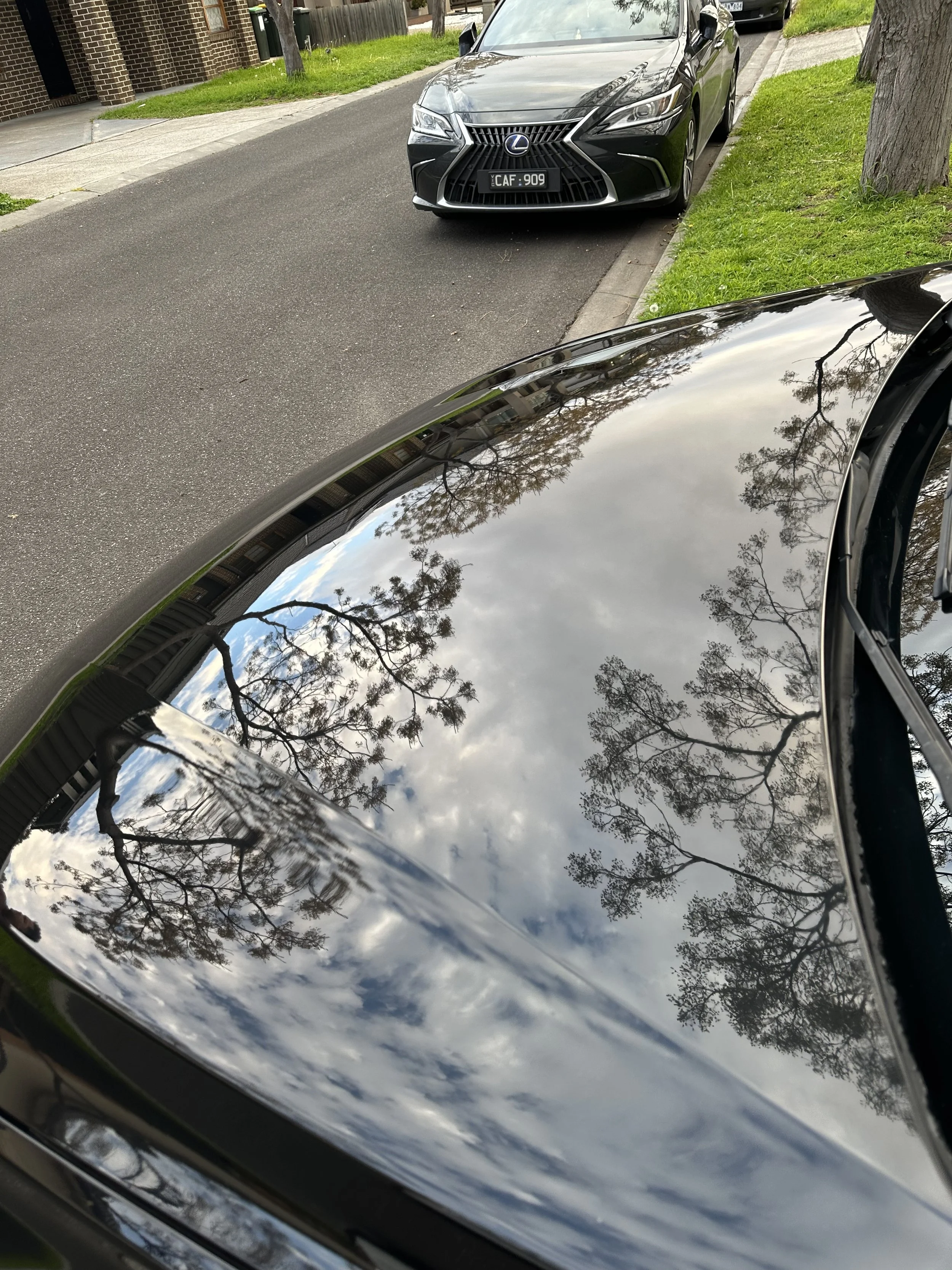 A black car with reflections of trees and sky on the hood, parked on a residential street next to a grassy verge and a tree.