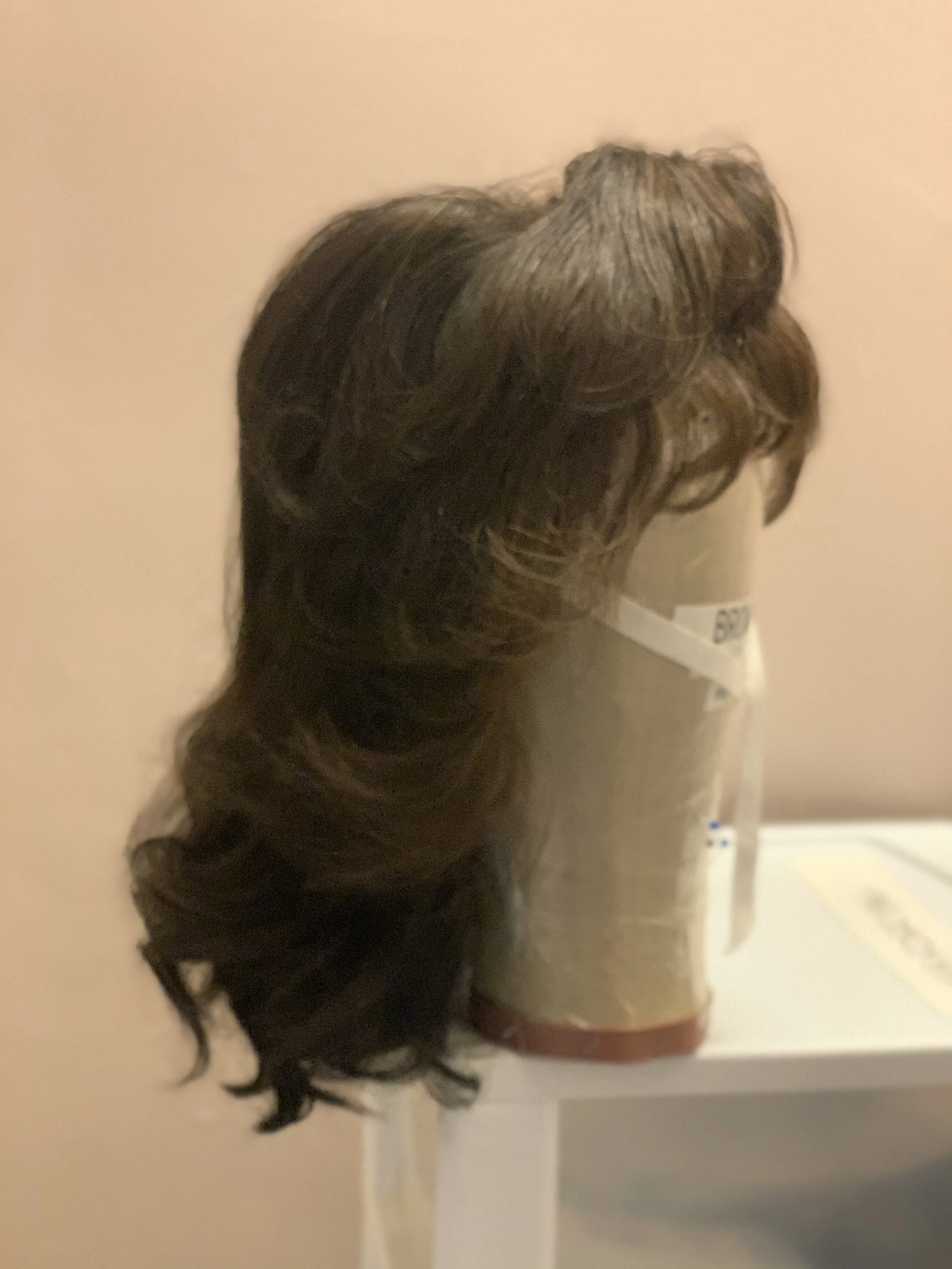 Diana: The Musical