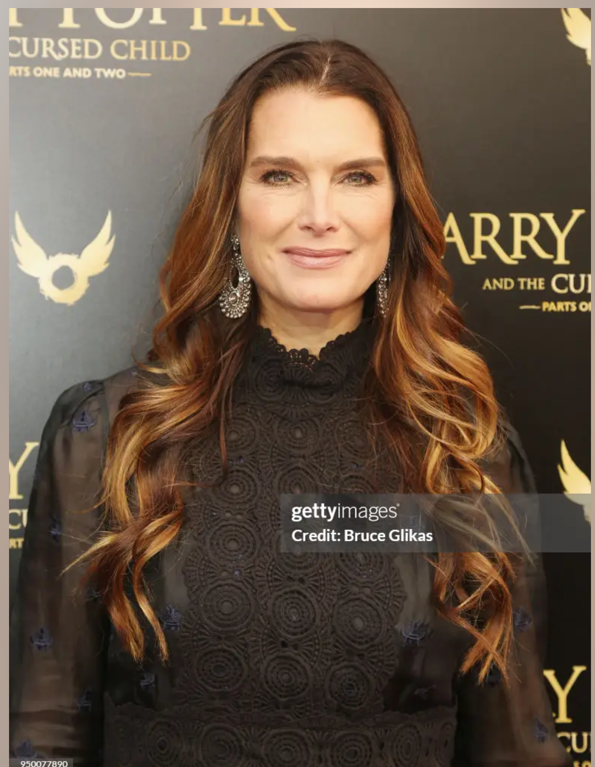 I styled Brook Shields' hair for the Broadway opening of Harry Potter and the Cursed Child. 