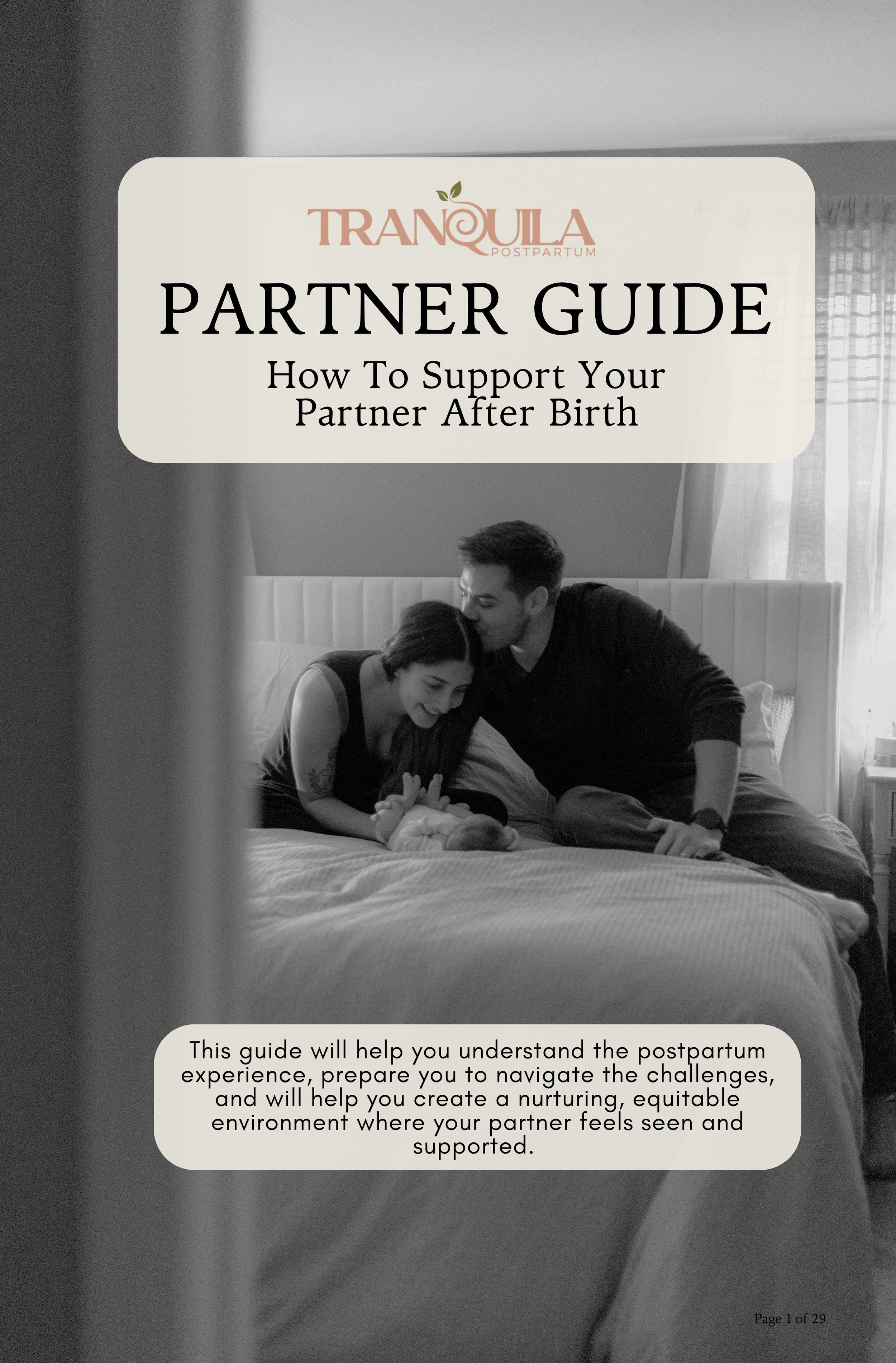 The Tranquila Postpartum Partner Guide