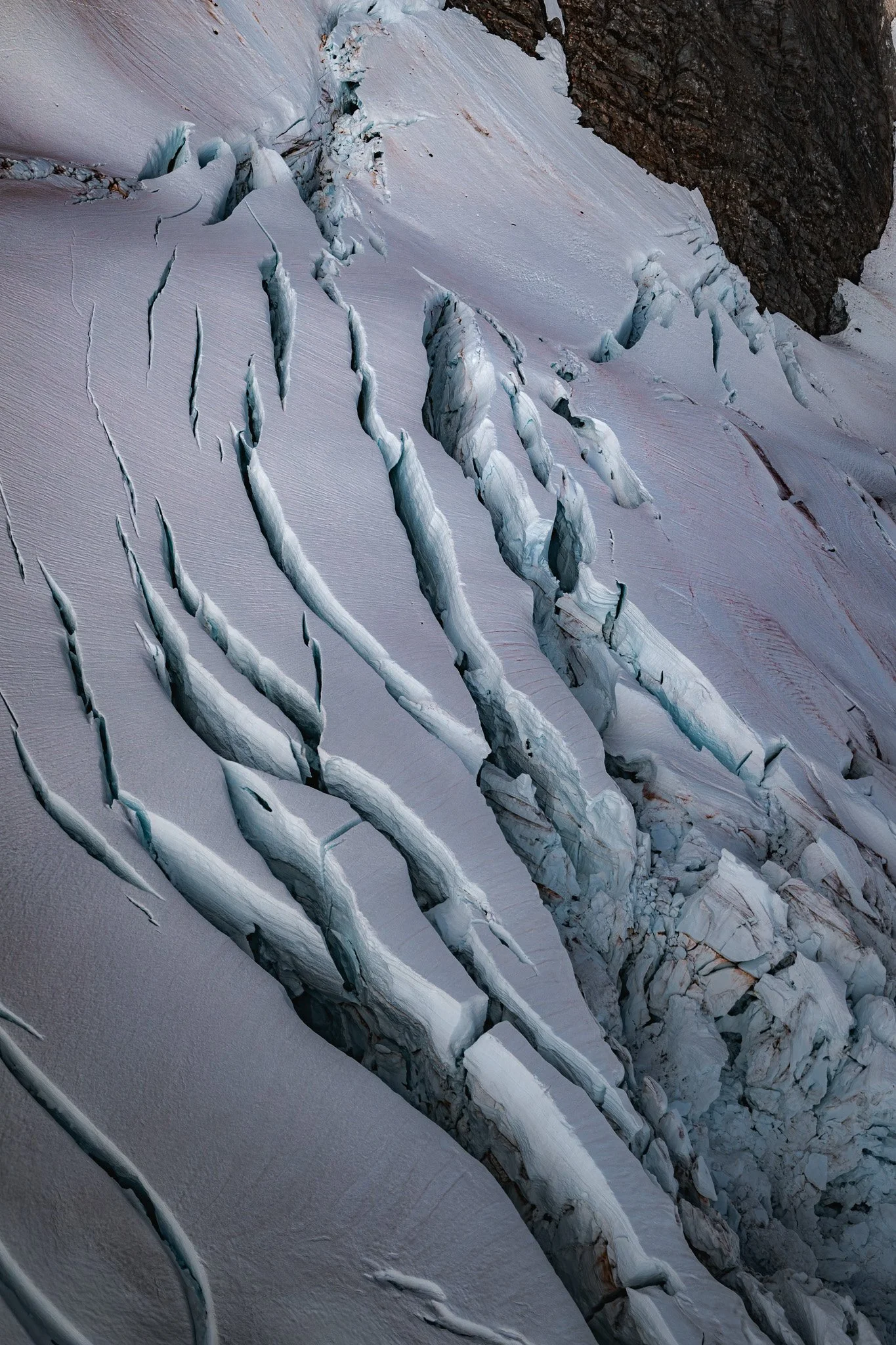 DSC_3465.jpg