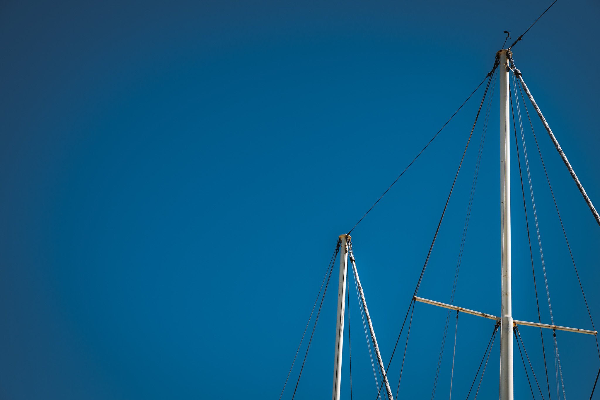 DSC_3597.jpg