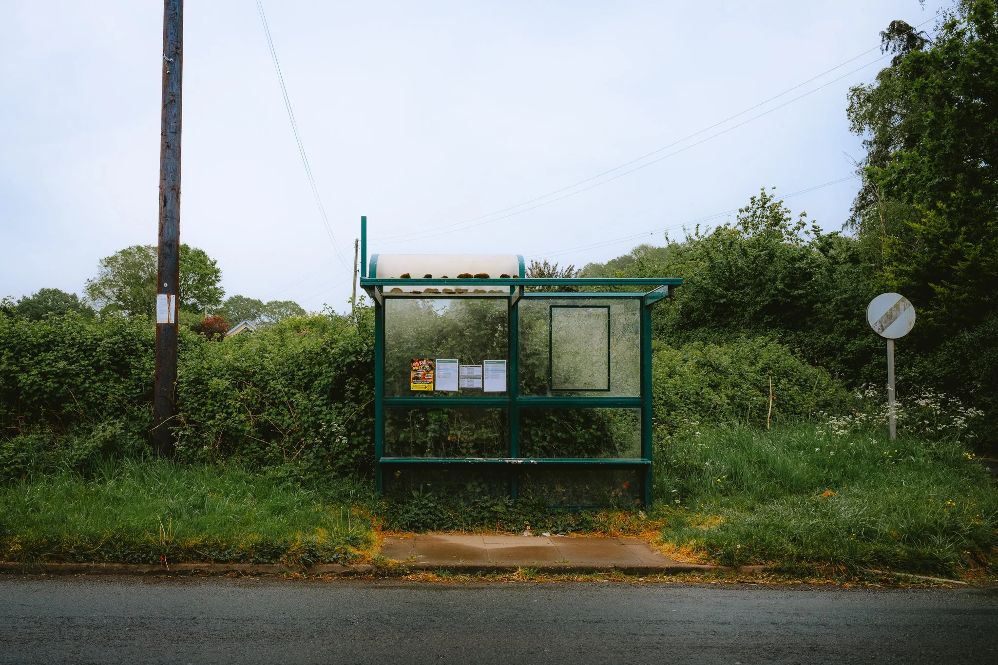 DSC_8021.jpg