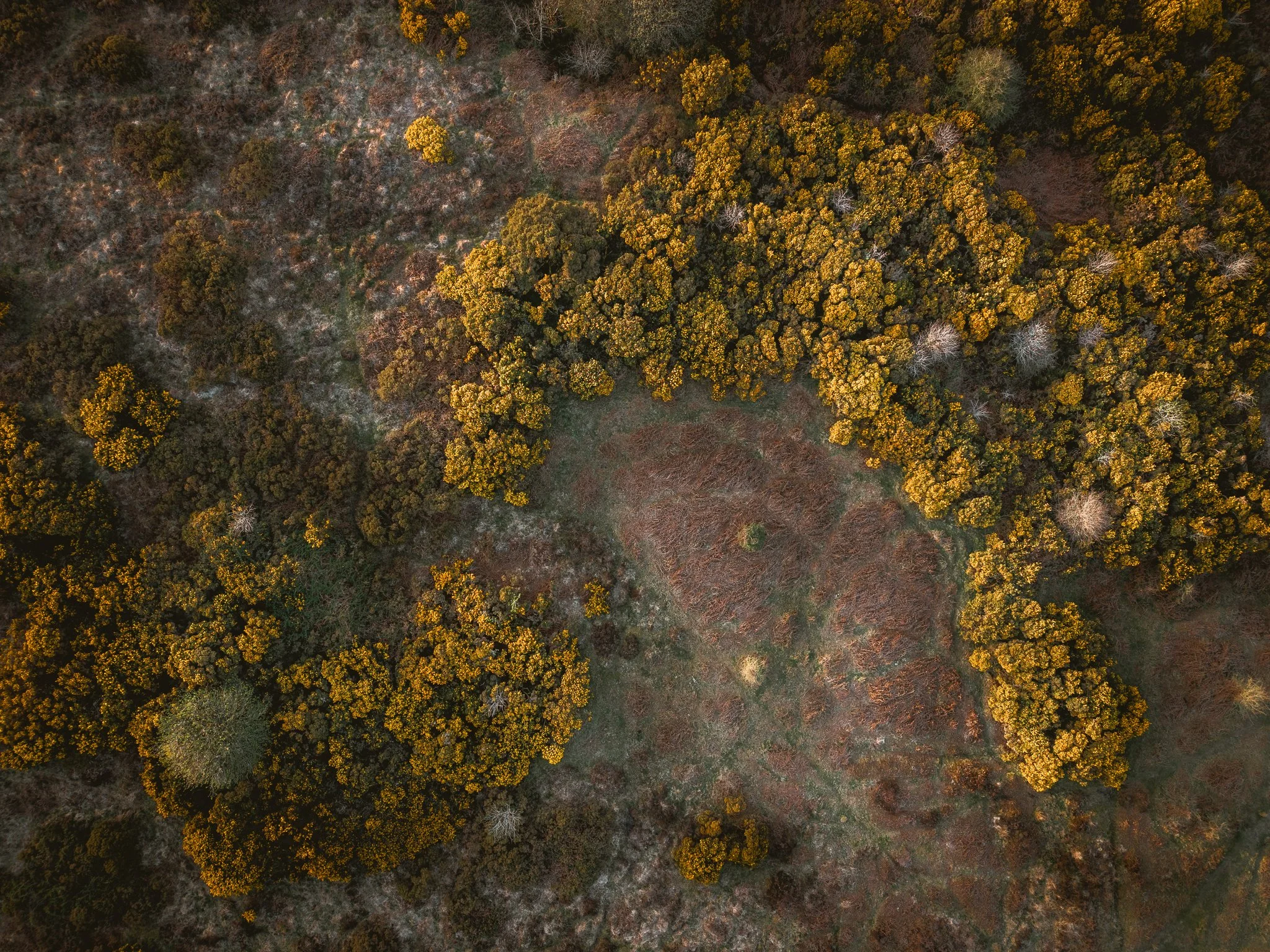 dji_fly_20260408_190116_0081_1776106734748_photo.jpg