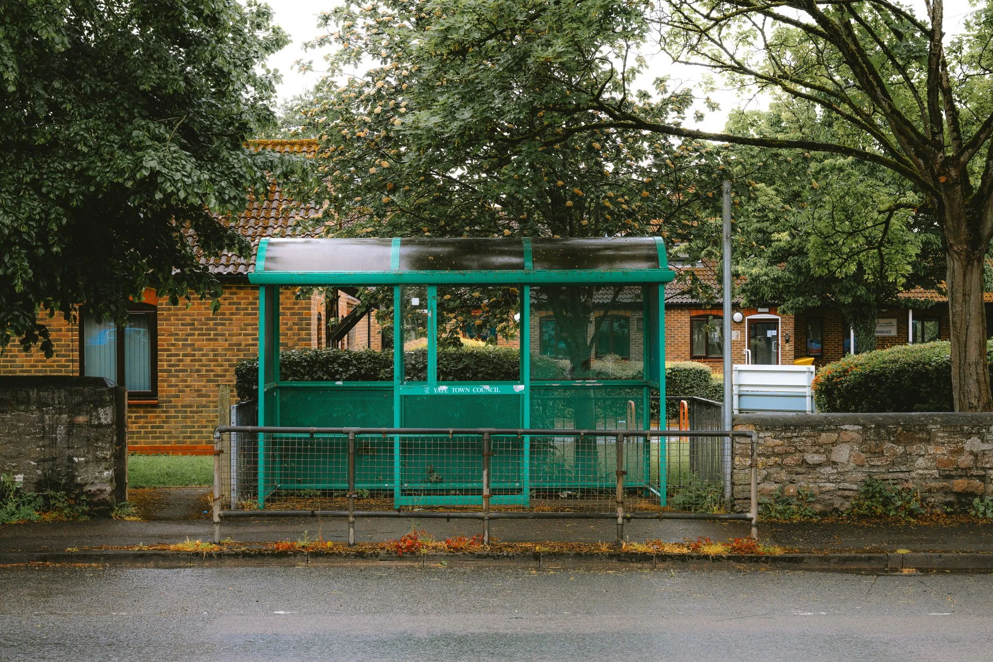 DSC_8207.jpg