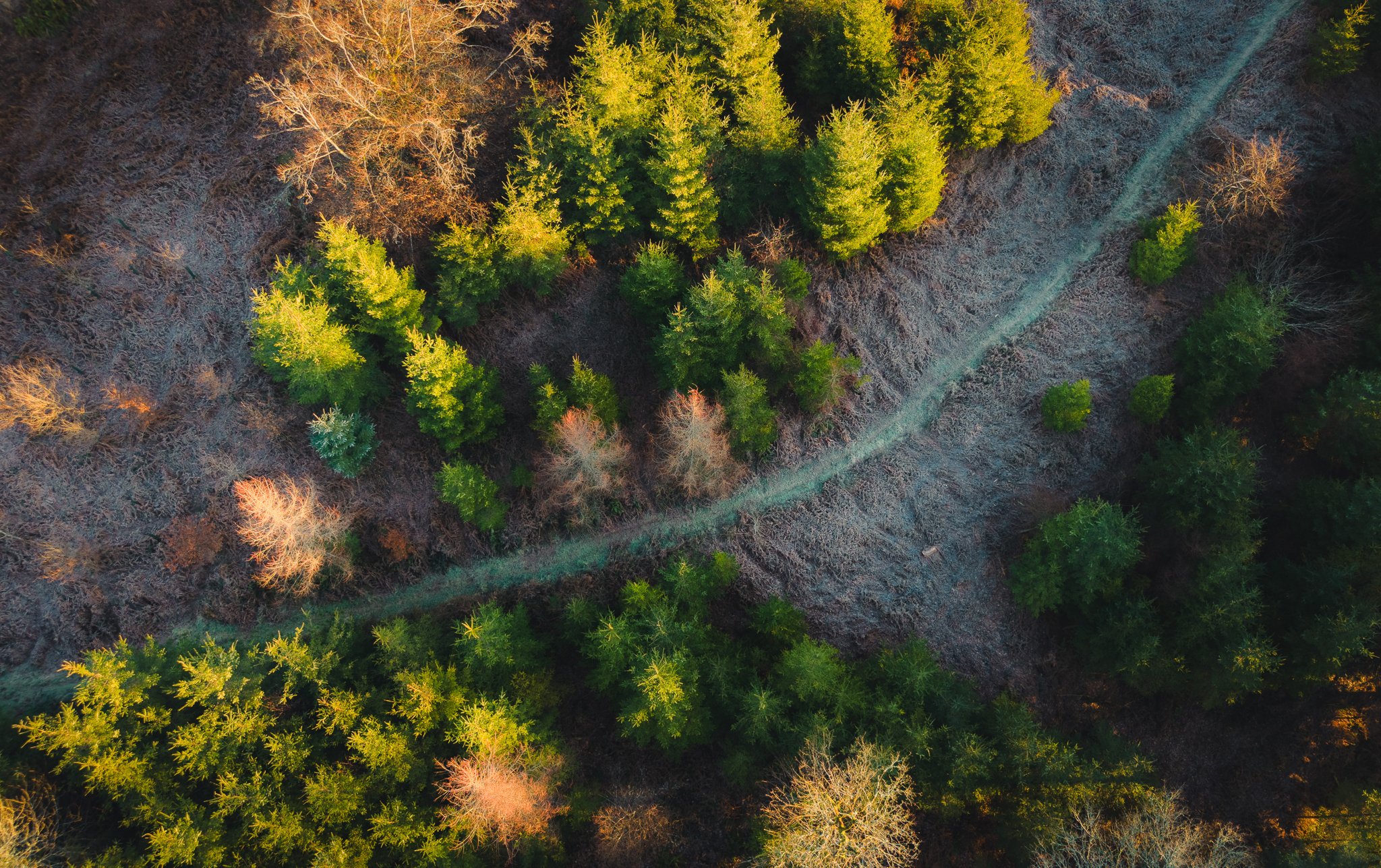 dji_fly_20260110_085028_0001_1772273861163_photo.jpg