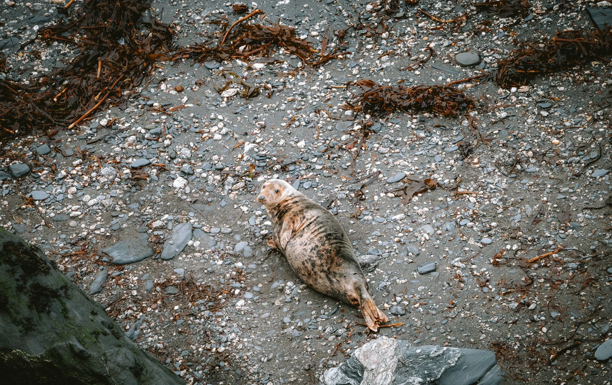 DSC_0604.jpg