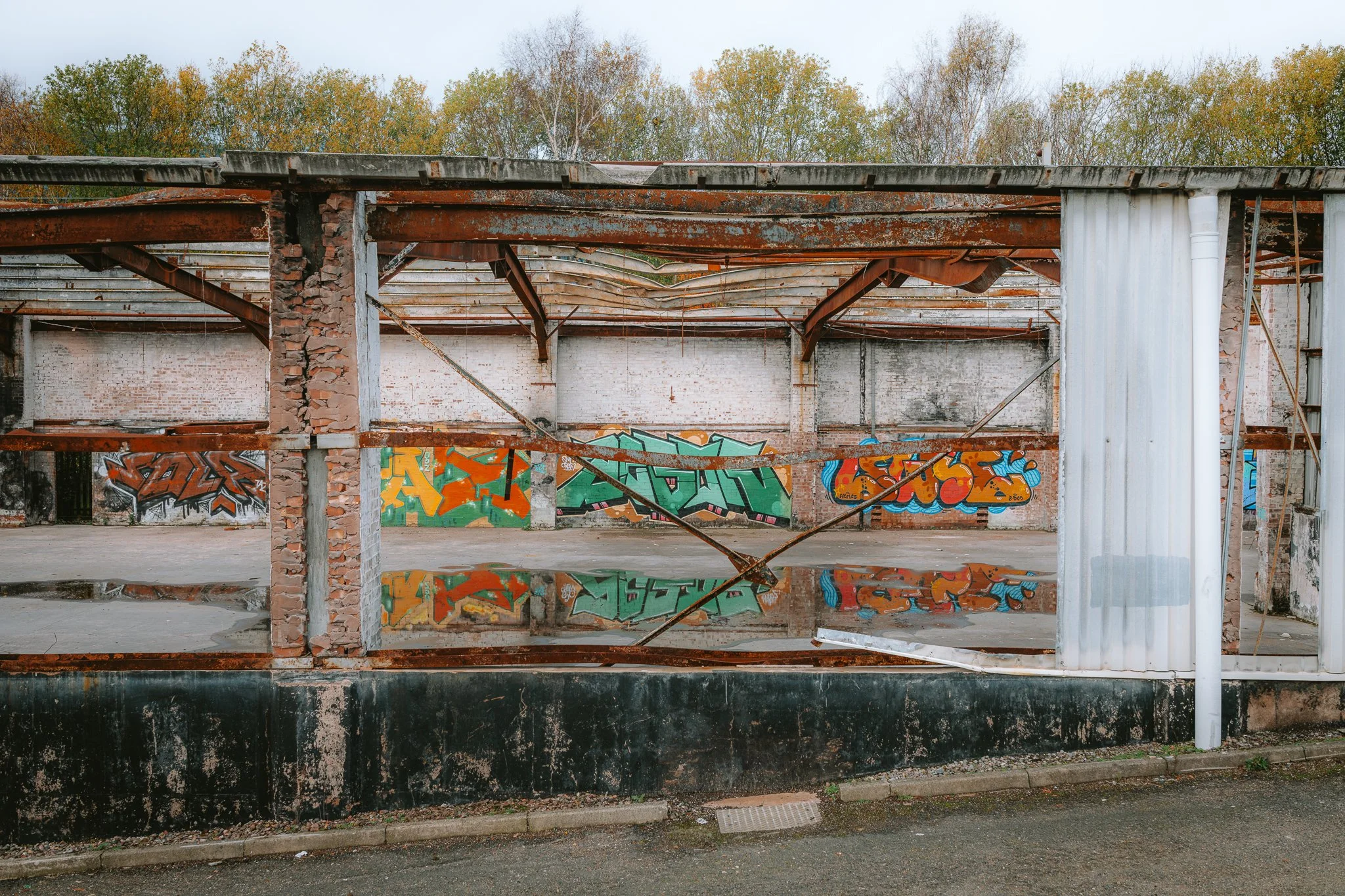 DSC_1212.jpg