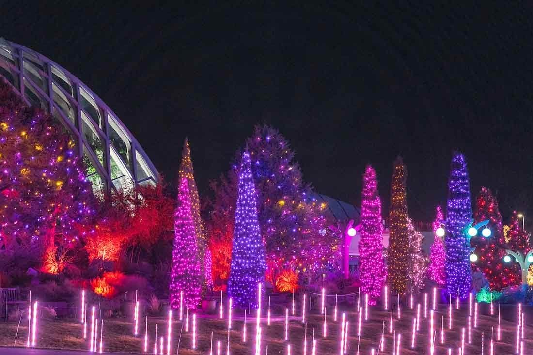 Client Appreciation Zoo Lights