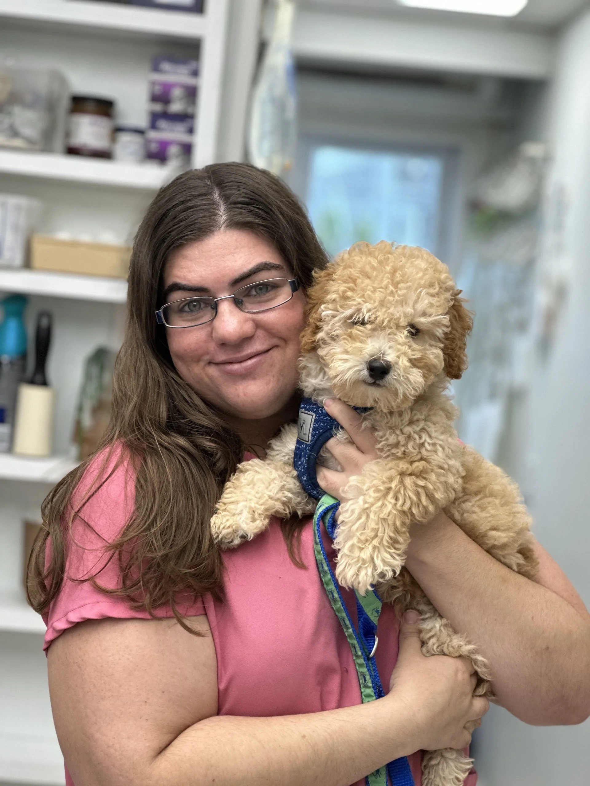 A woman with long brown hair and glasses holding a curly-haired puppy with a blue collar in a room with shelves and a window.