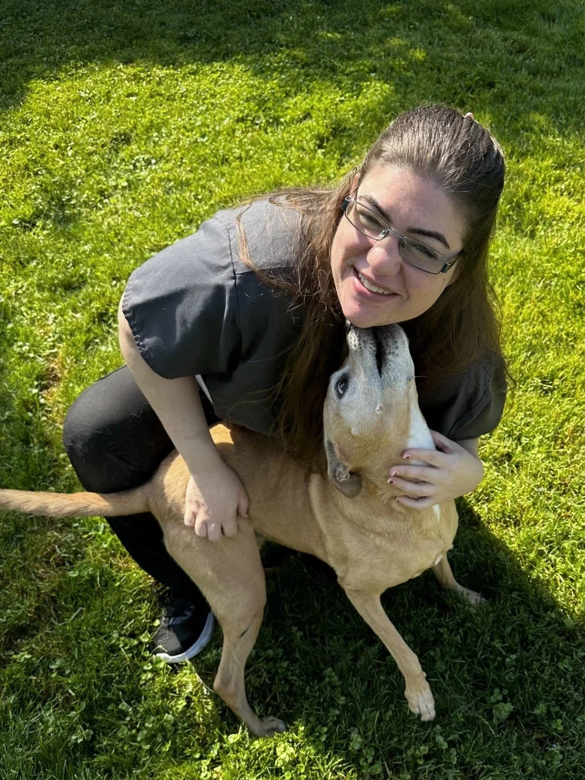 licky+dog.jpg