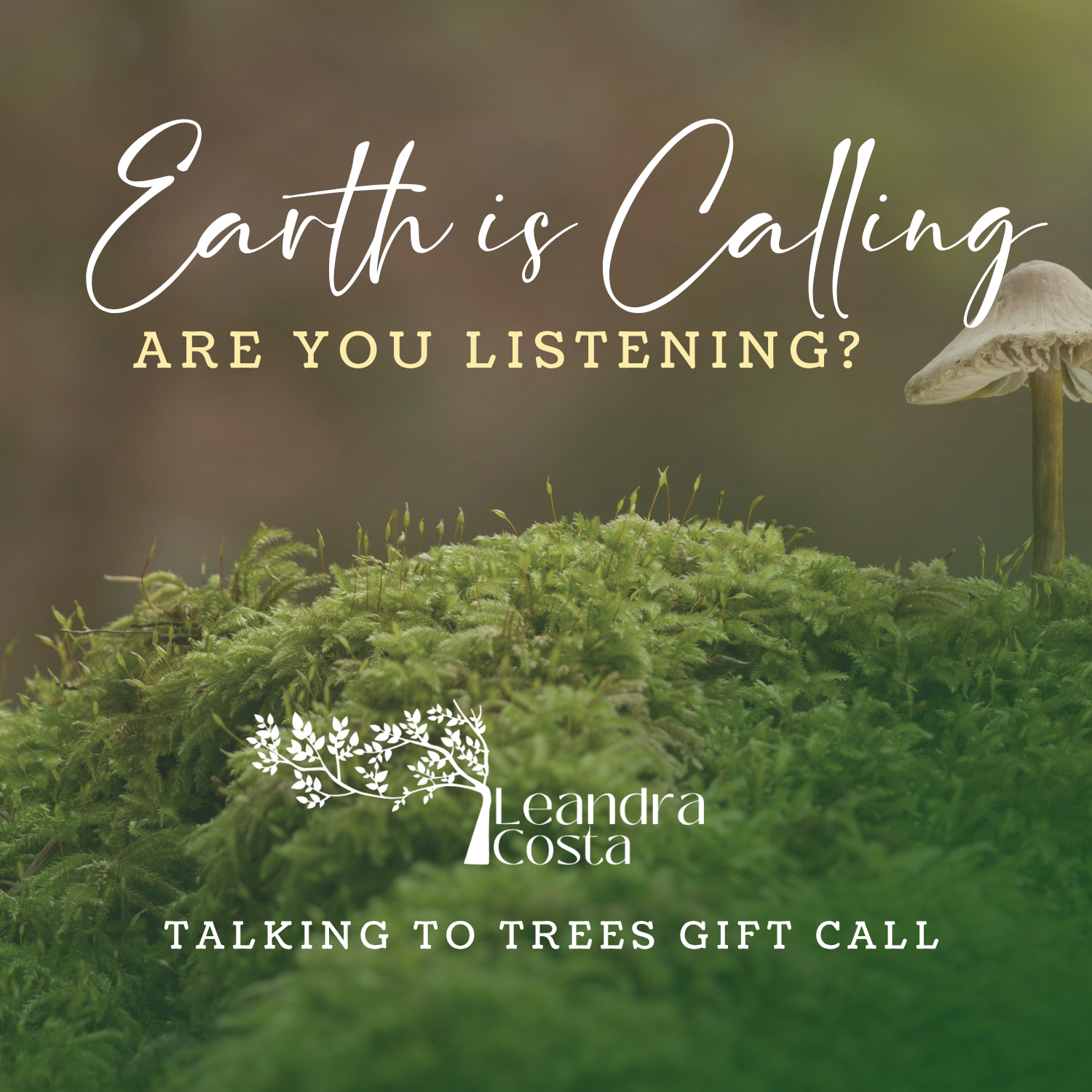 Earth is calling, are you listening? A Talking to Trees Gift Call! REPLAY