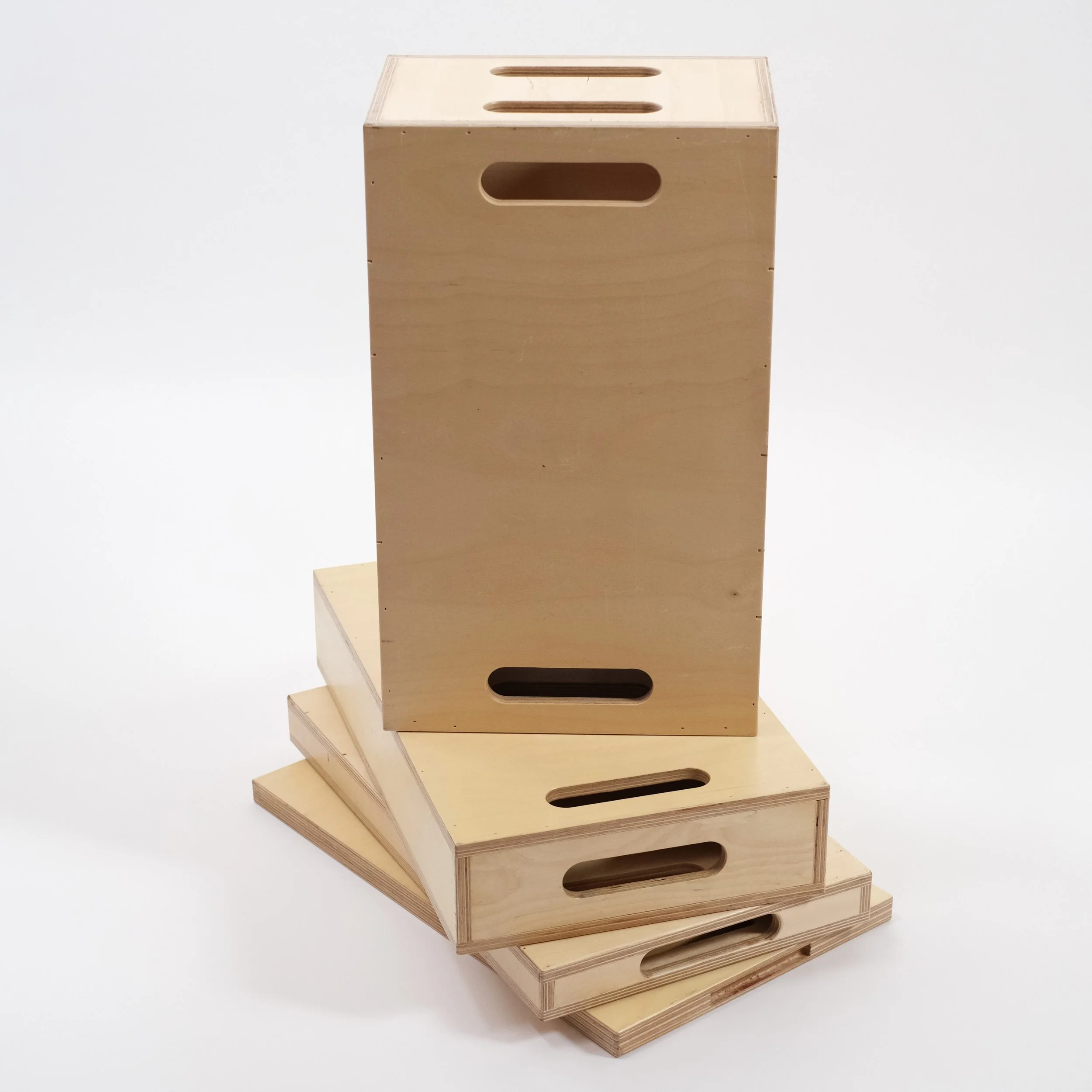 Apple Box Family Full Vert.JPG
