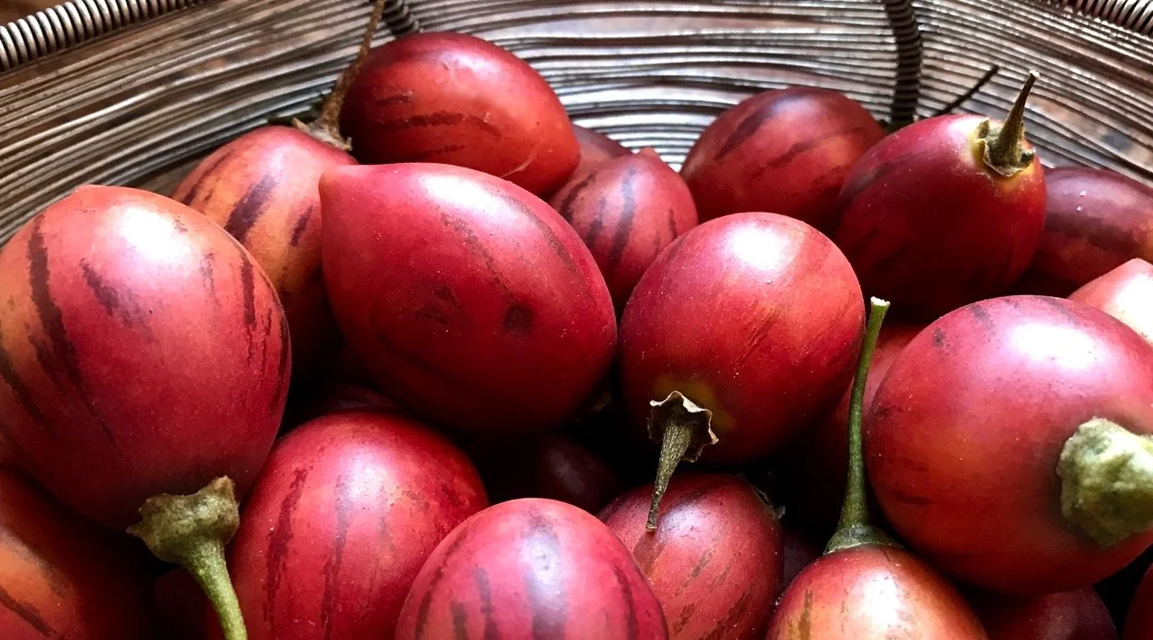 Tree Tomatoes, Tamarillos, Tomates de ârbol  + a Gazpacho Recipe