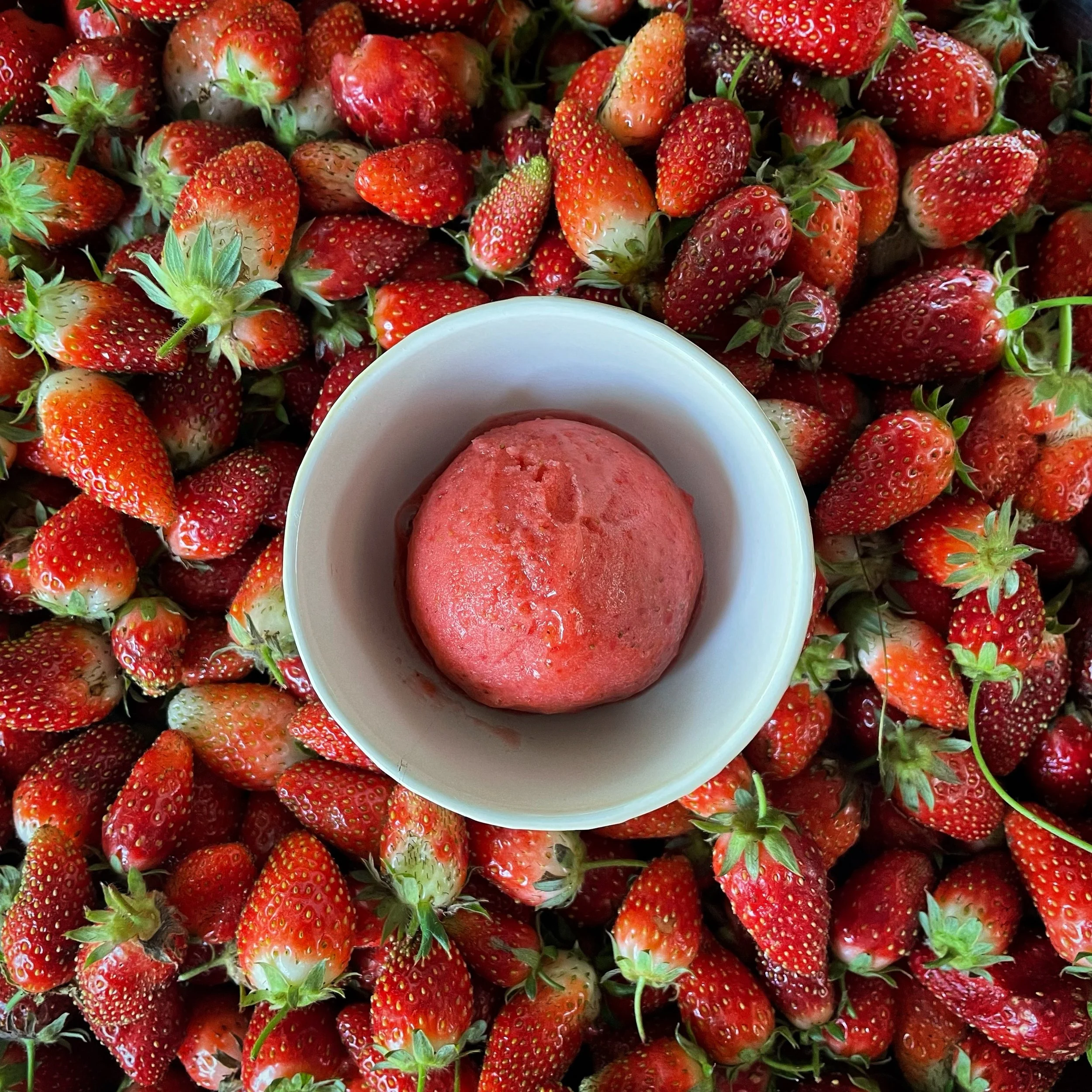 A close-up image of fresh red strawberries with green leaves, surrounding a white bowl with a pink frozen dessert or sorbet inside.