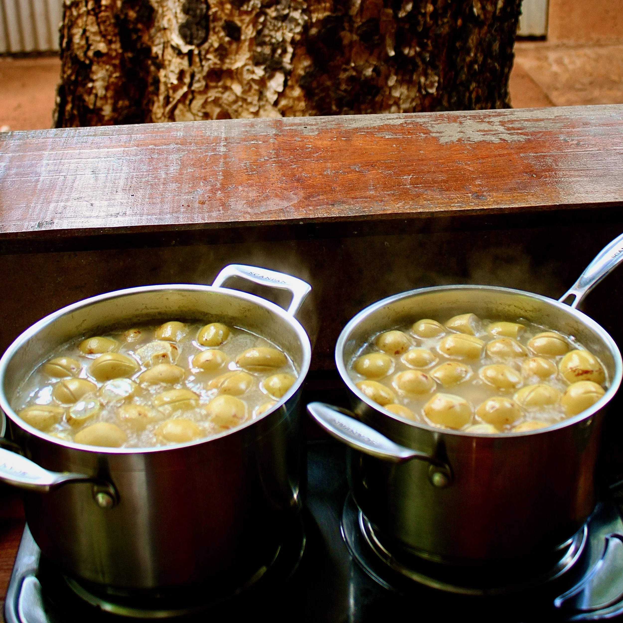 Savannabel Bush Gourmet - making marula jelly
