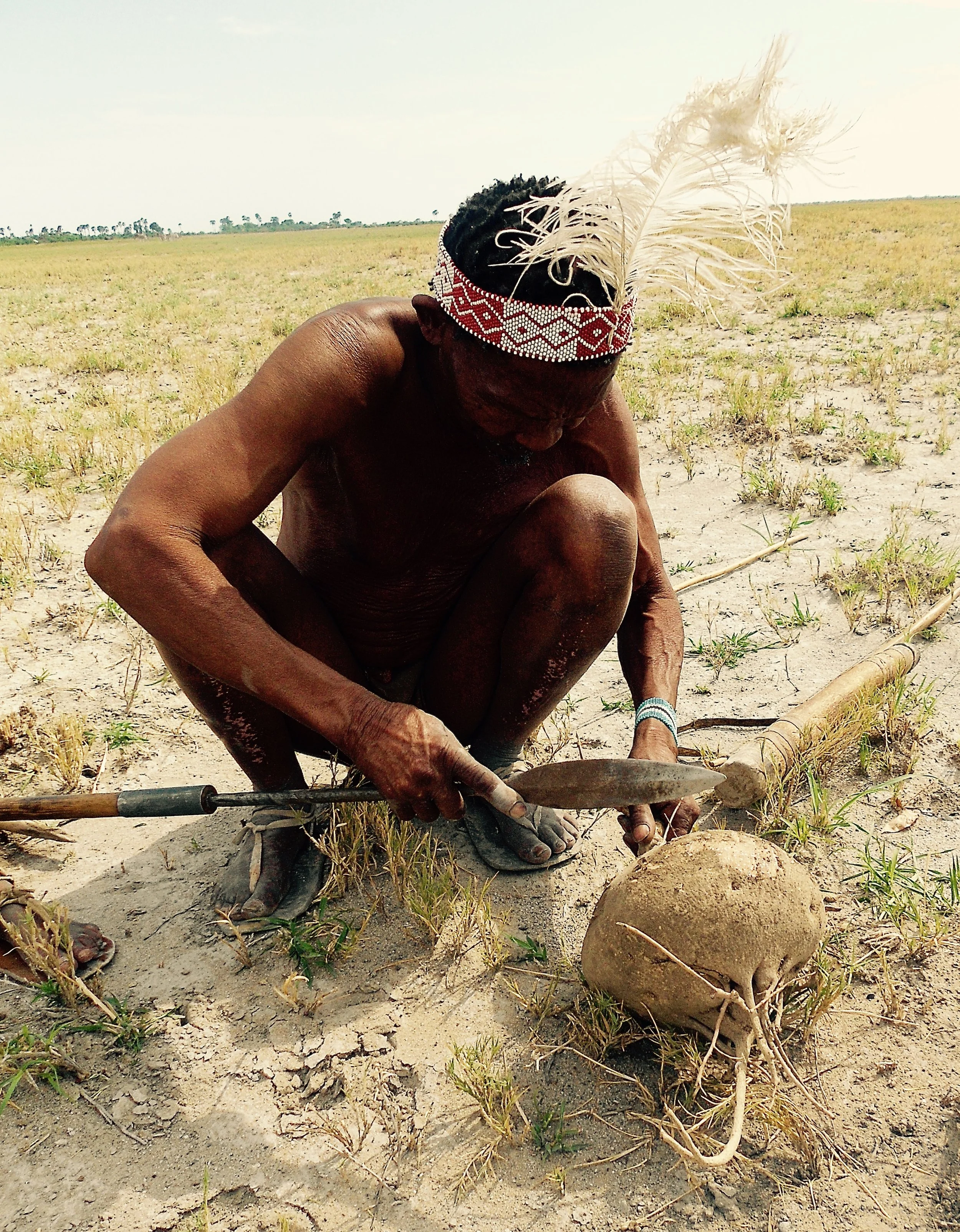 A man with dark hair wearing traditional headgear with a feather, squatting in a dry, open field while working with a tool surrounded by soil and small plants.