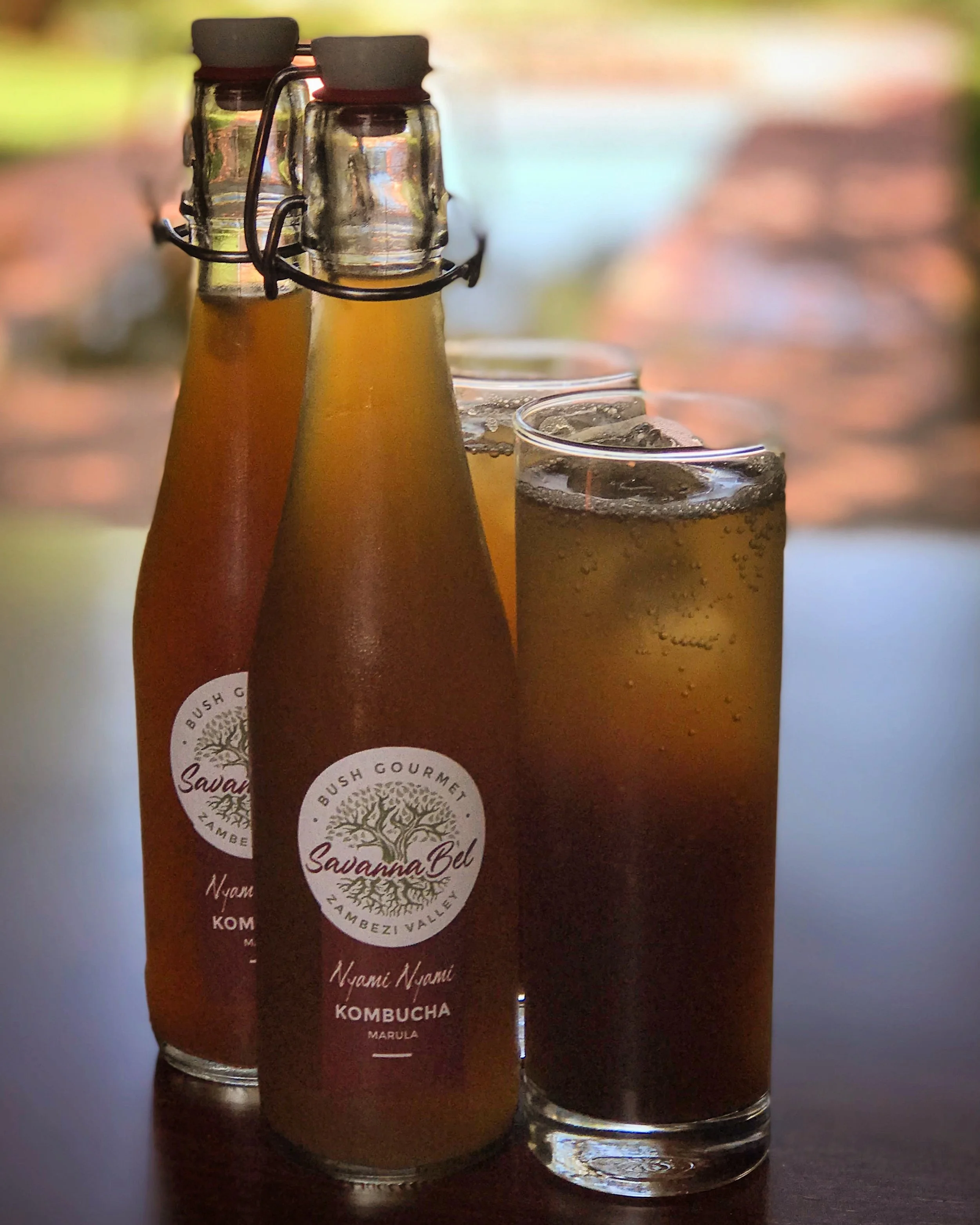 SavannaBel Marula Kombucha