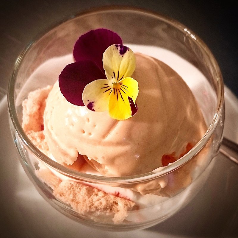 Savannabel Bush Gourmet - Mungomba Ice Cream (Wild Sourplum)