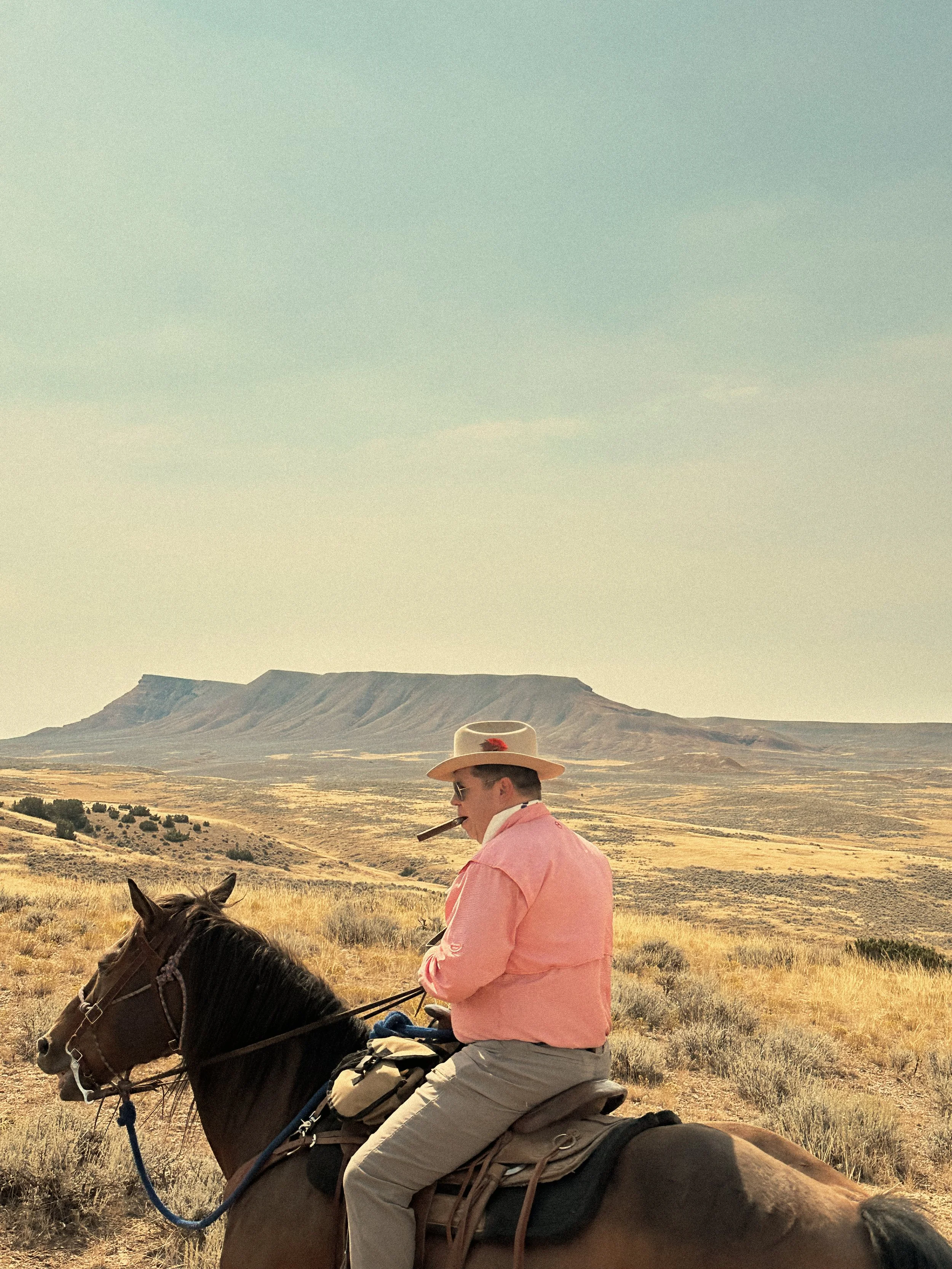 A man in a pink shirt and beige pants riding a horse in a vast open countryside with dry grass, a mountain in the background, and clear sky.