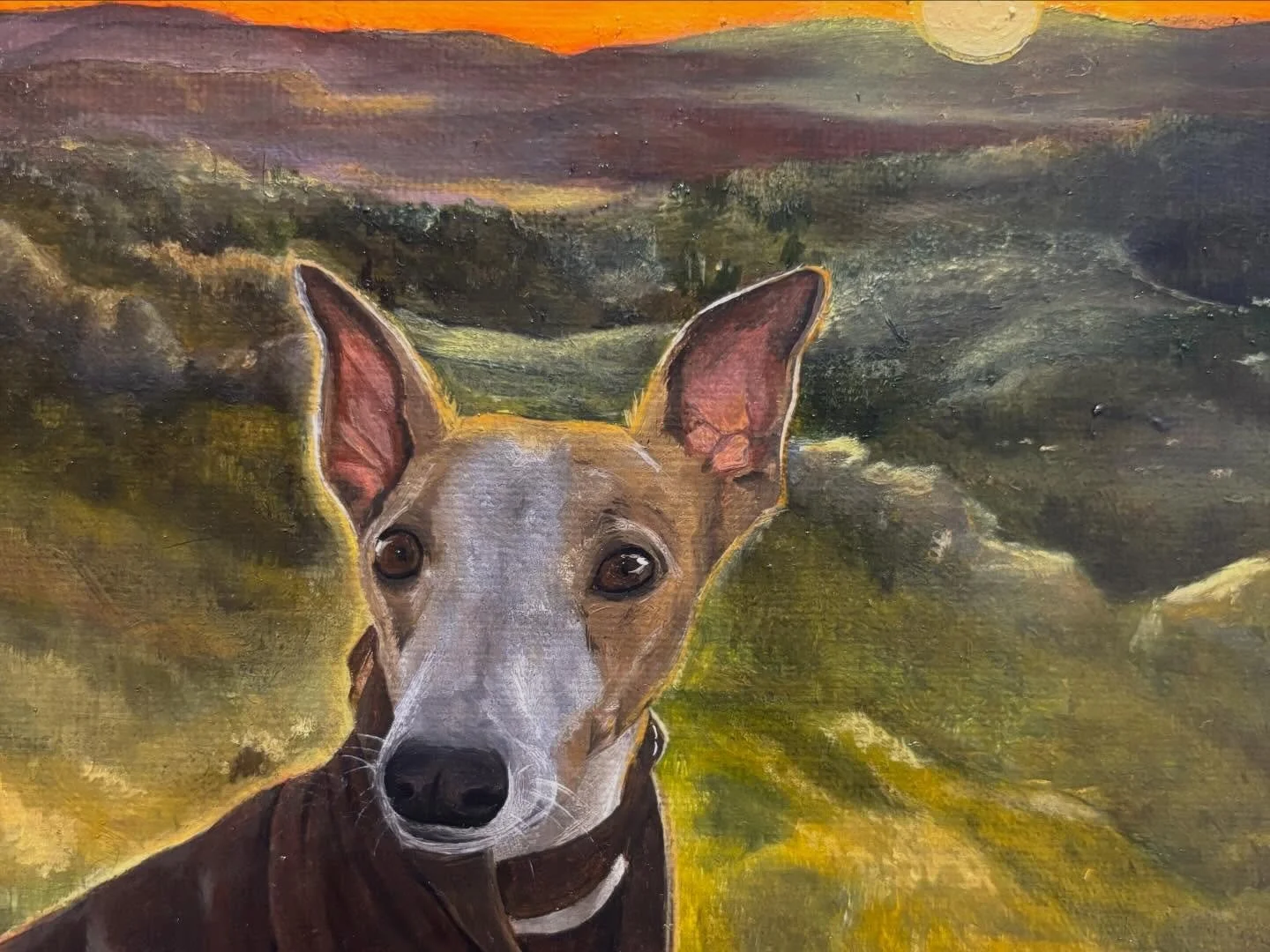 lil sneak peek Lenny oil painting and my absolute fave things recently xx