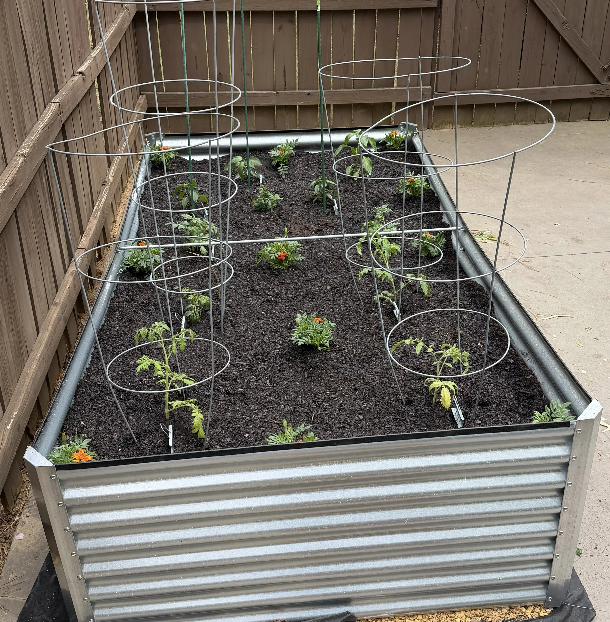Raised Beds