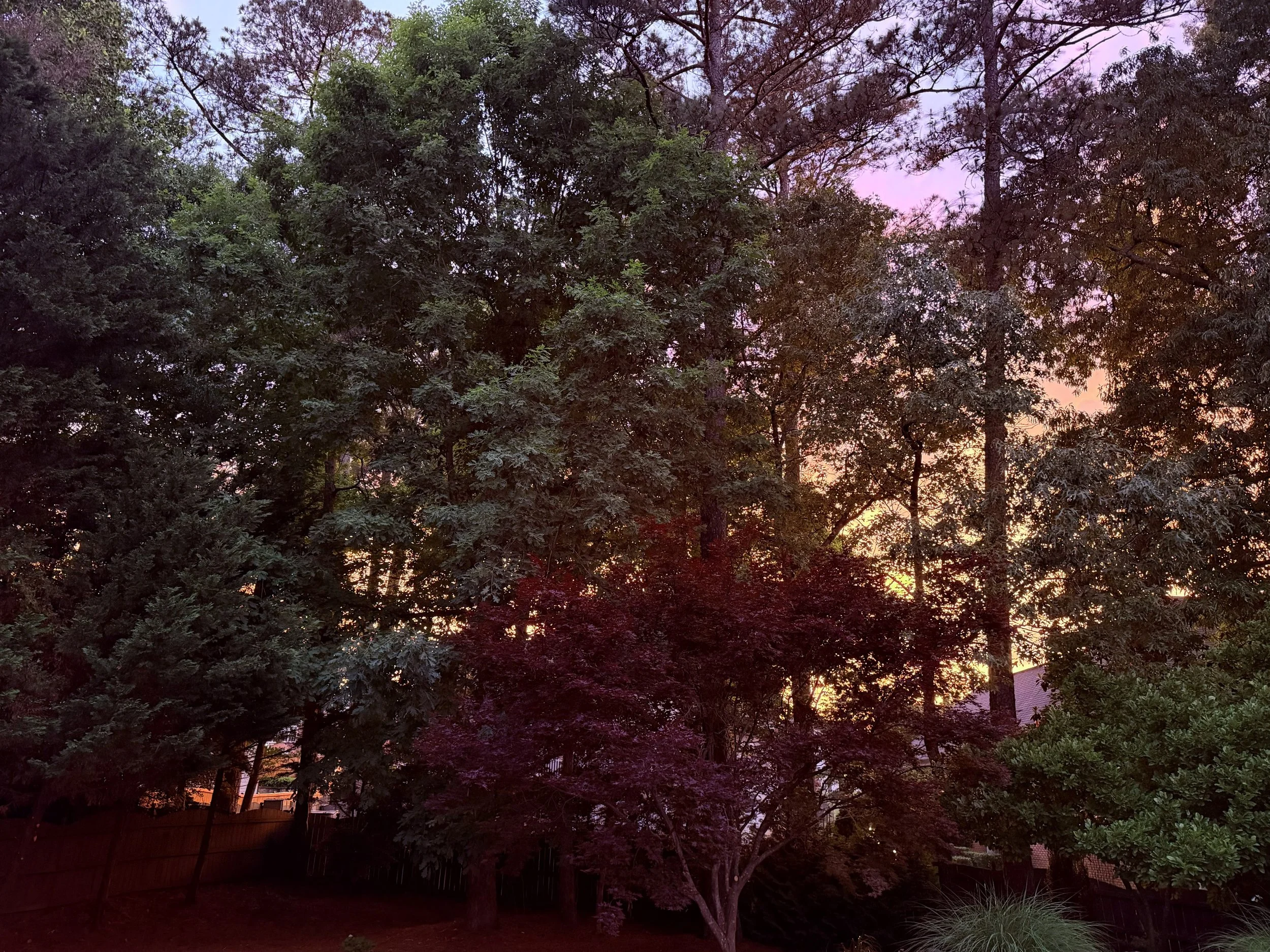 Invisible Grief and Finding Joy