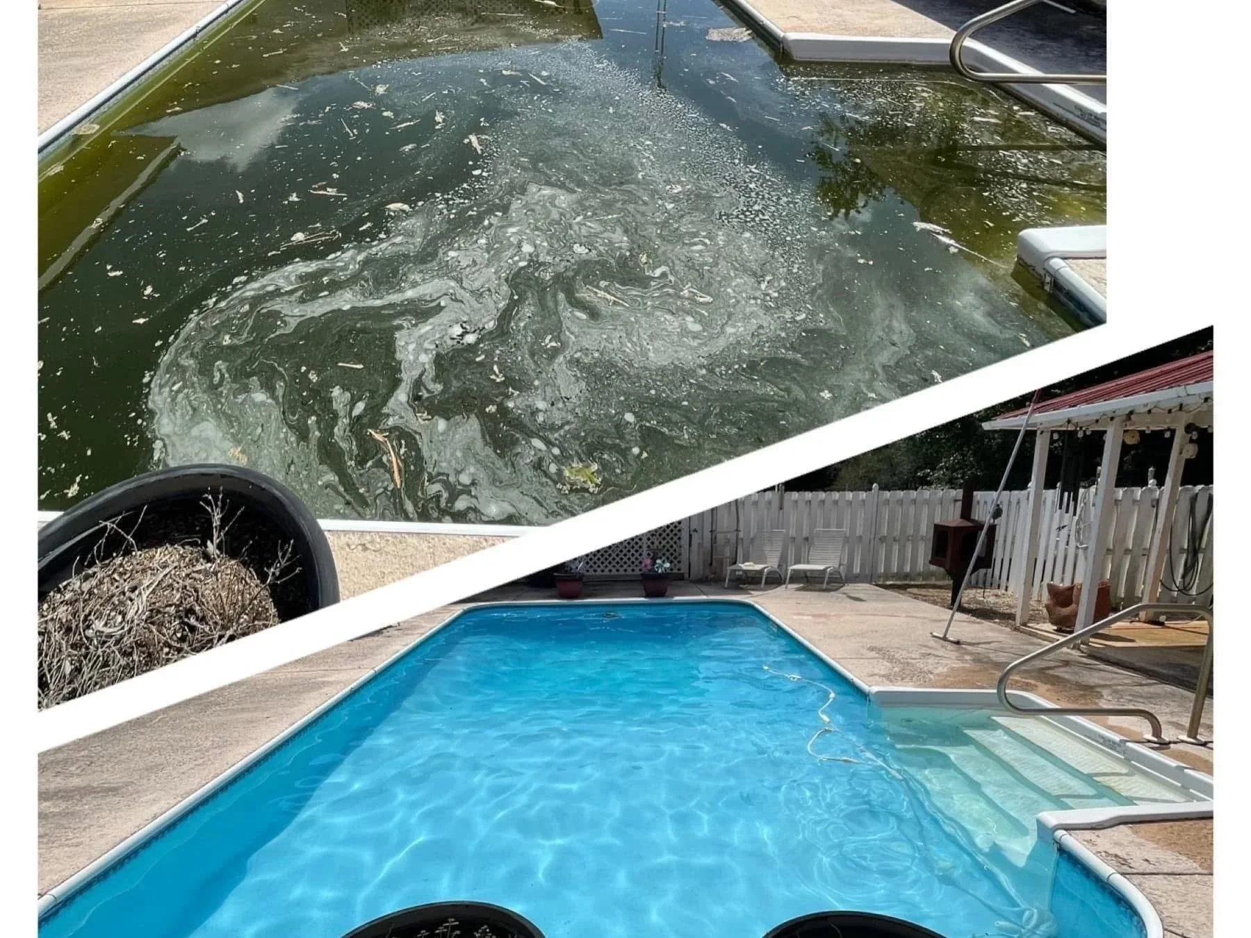 Split image showing a dirty, algae-covered swimming pool in the top half and a clean, clear swimming pool in the bottom half. The bottom part shows a backyard with a pool, chairs, a fence, and some outdoor furniture.