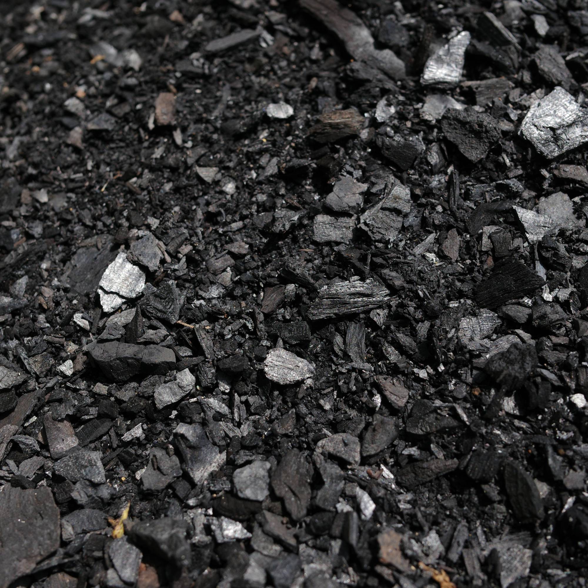 Close-up of black charcoal pieces and small rocks on the ground.